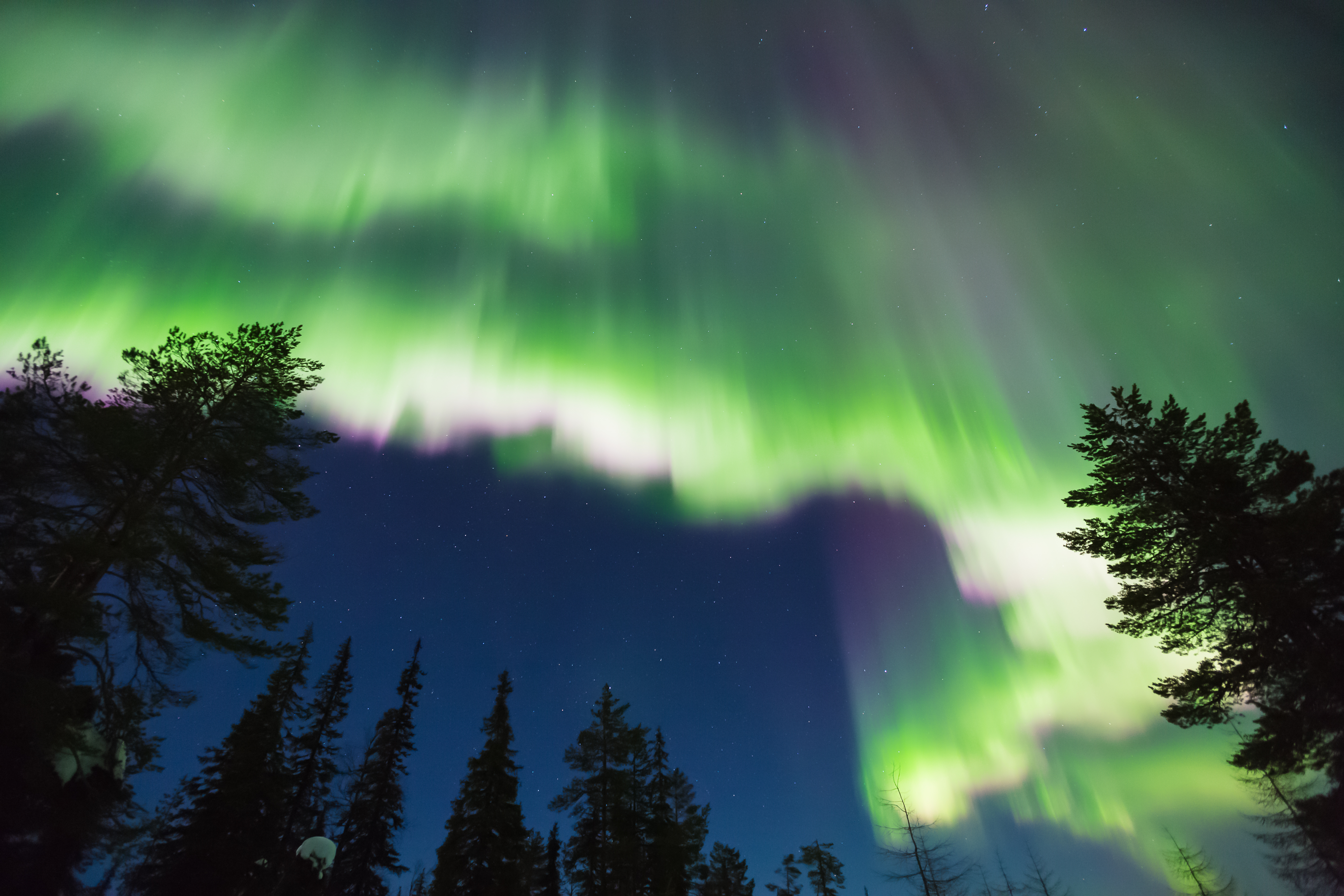 Baixe gratuitamente a imagem Aurora Boreal, Terra/natureza na área de trabalho do seu PC