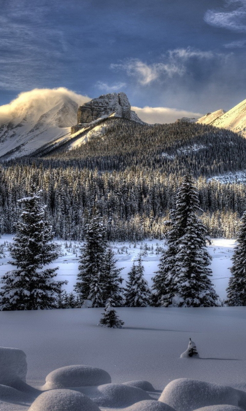 Descarga gratuita de fondo de pantalla para móvil de Invierno, Tierra/naturaleza.