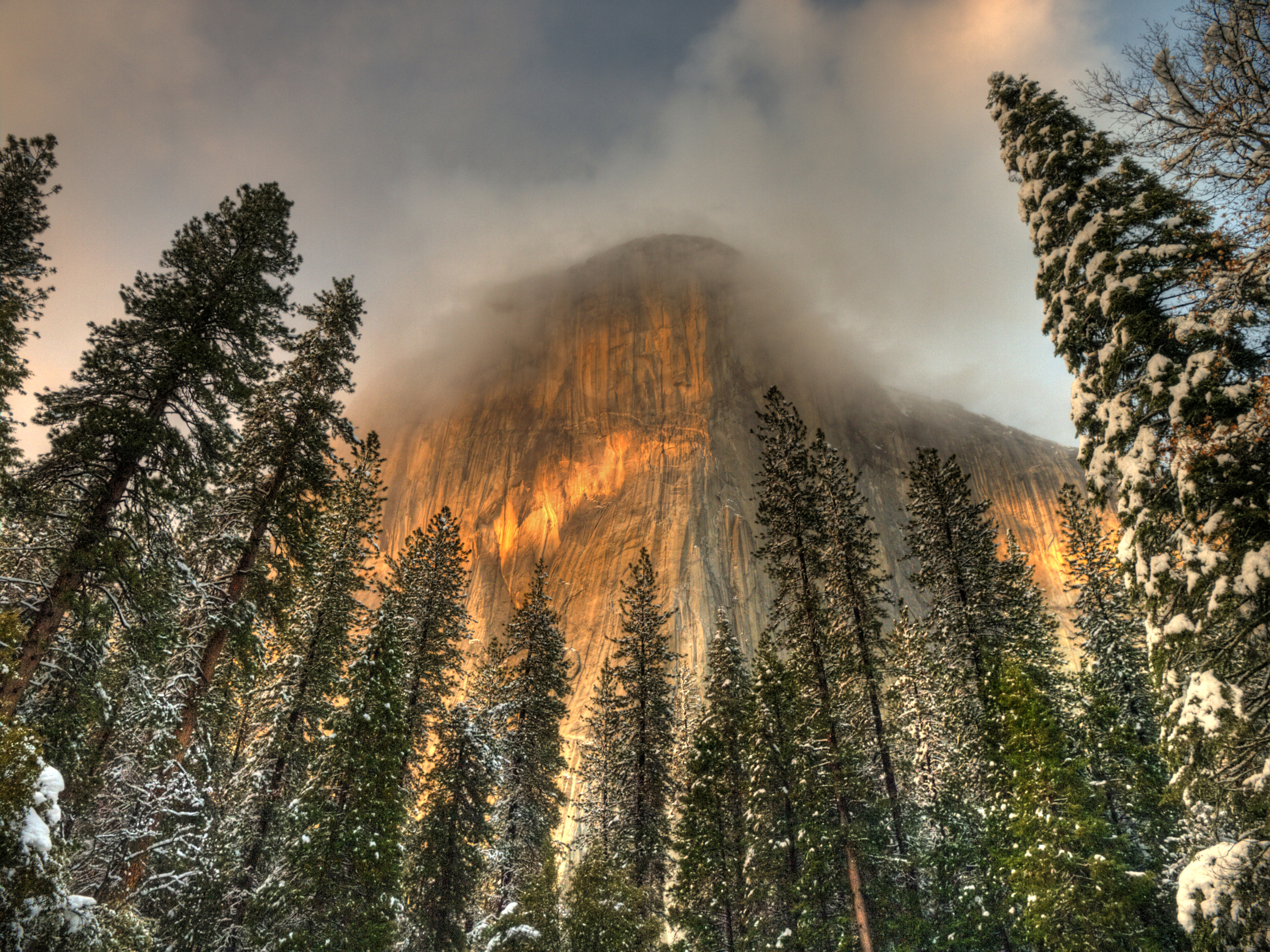 Téléchargez des papiers peints mobile Montagne, Arbre, Falaise, Parc National, Parc National De Yosemite, Terre/nature, Imagerie À Grande Gamme Dynamique gratuitement.
