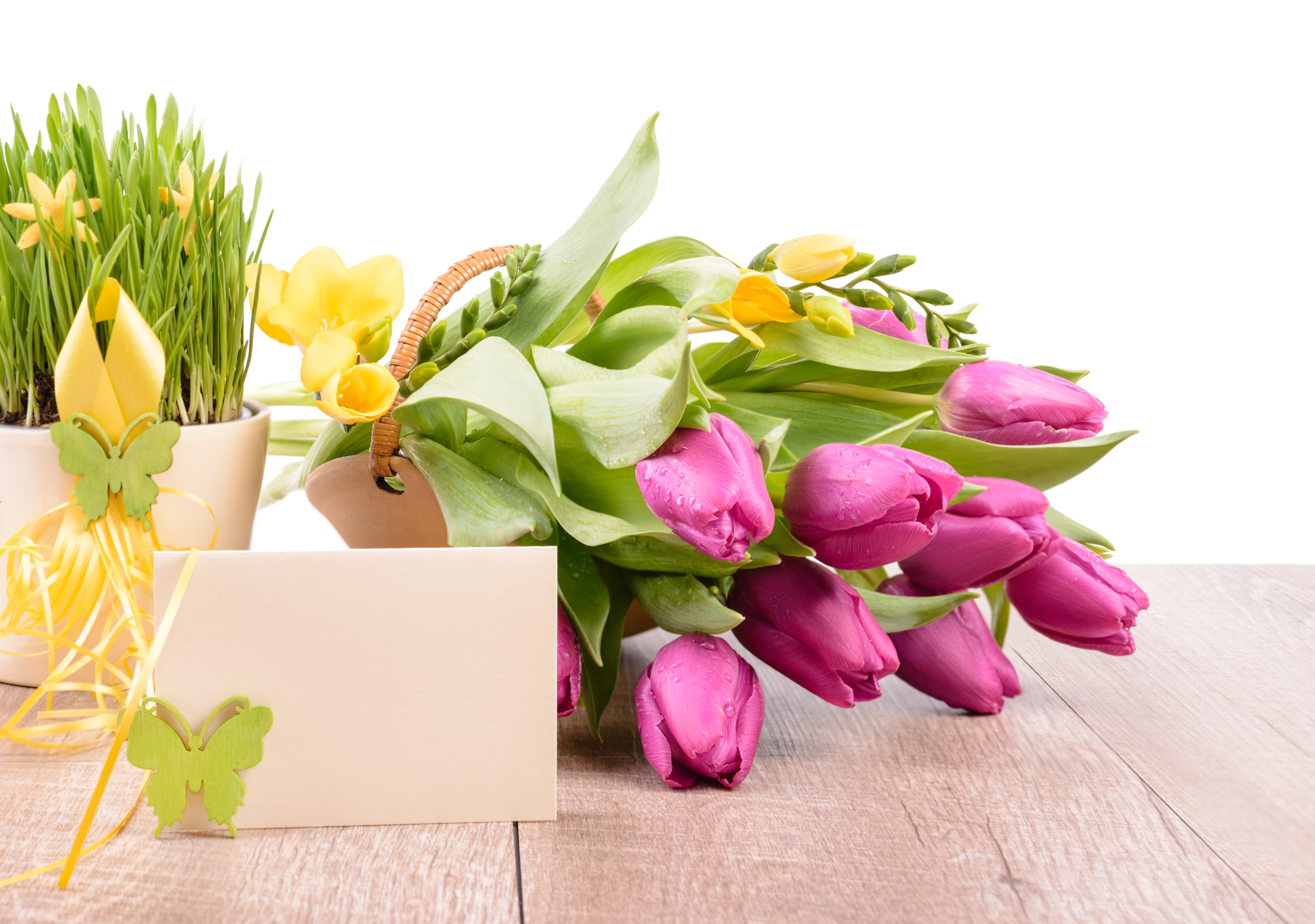 Free download wallpaper Flower, Bouquet, Tulip, Man Made on your PC desktop