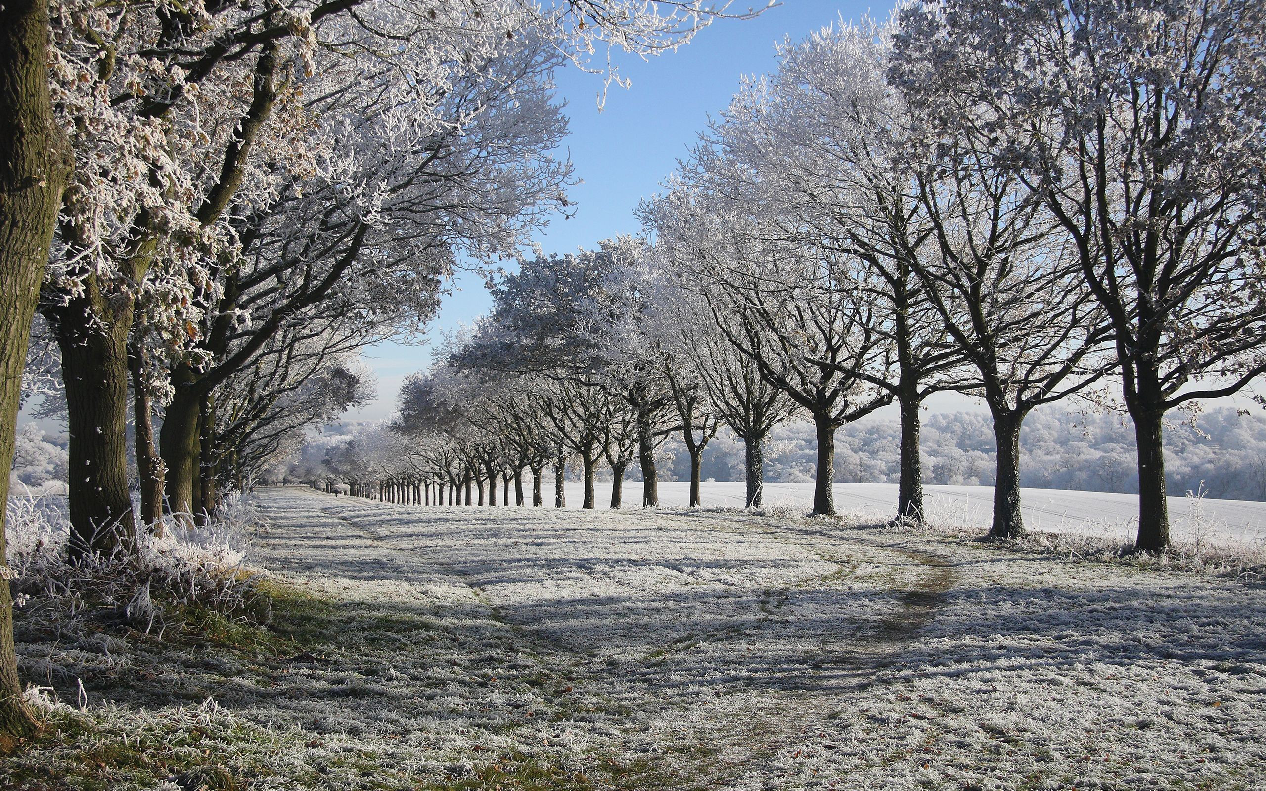 Baixe gratuitamente a imagem Inverno, Terra/natureza na área de trabalho do seu PC