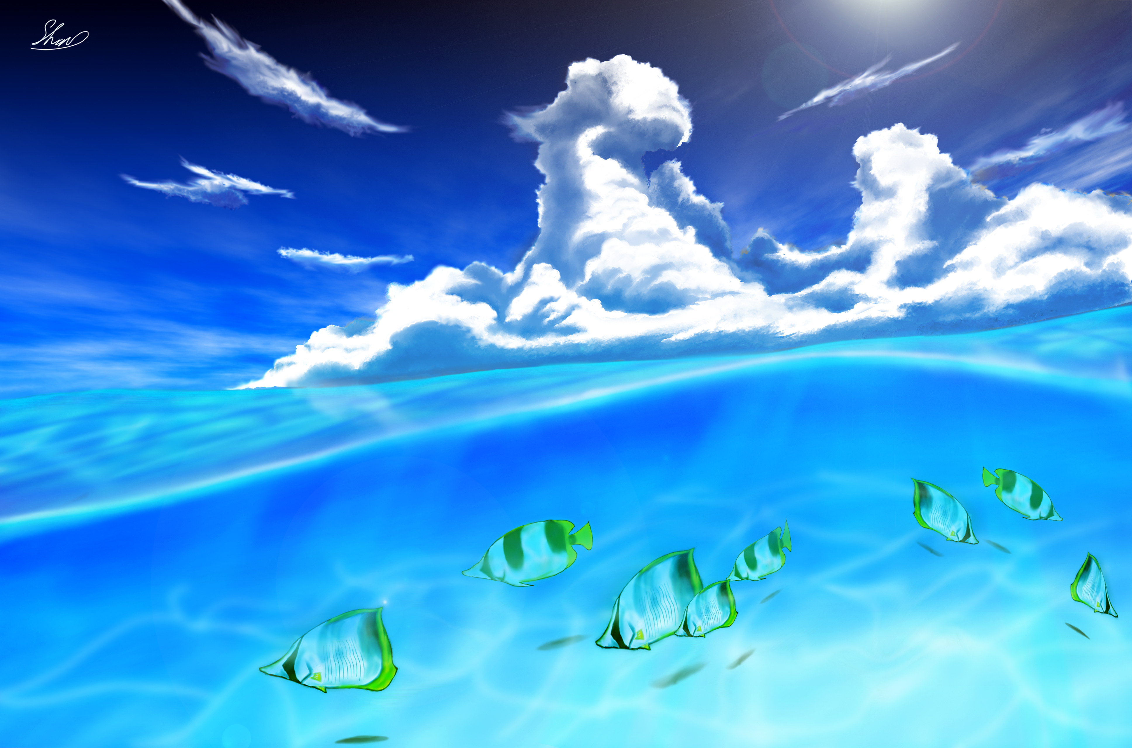 Free download wallpaper Sea, Fishes, Animal, Cloud, Fish on your PC desktop
