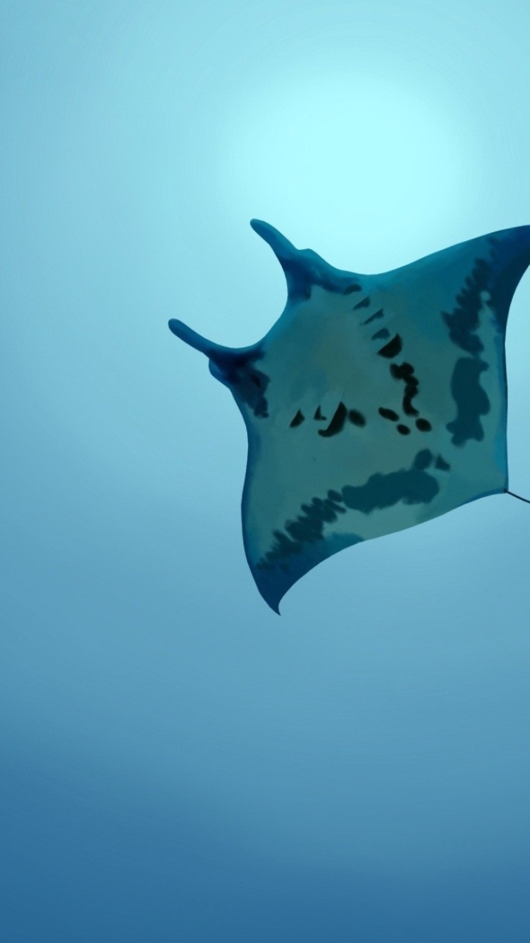 wallpapers animal, stingray, underwater, fishes