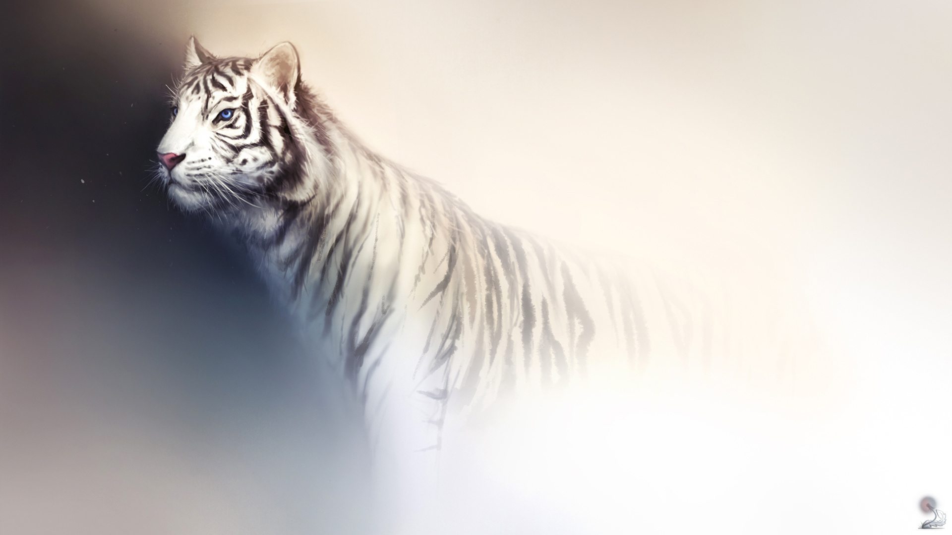 Téléchargez des papiers peints mobile Tigre Blanc, Chats, Animaux gratuitement.