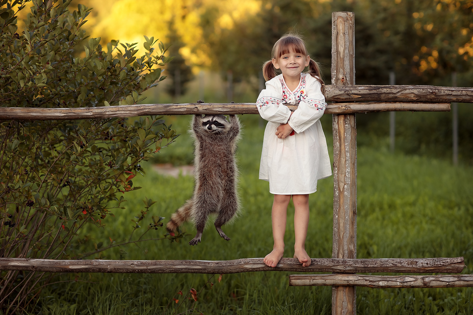 Free download wallpaper Funny, Fence, Child, Photography, Raccoon on your PC desktop
