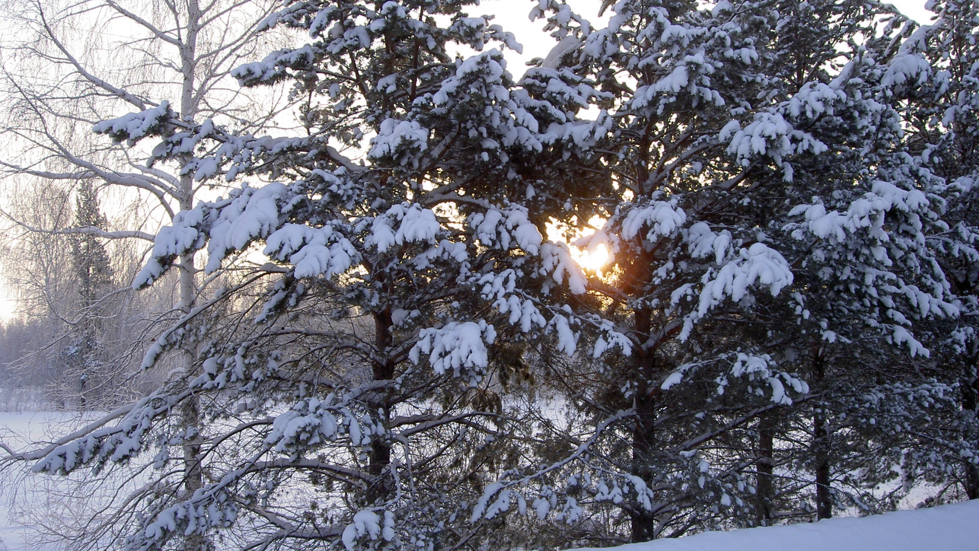 Téléchargez des papiers peints mobile Hiver, Terre/nature gratuitement.