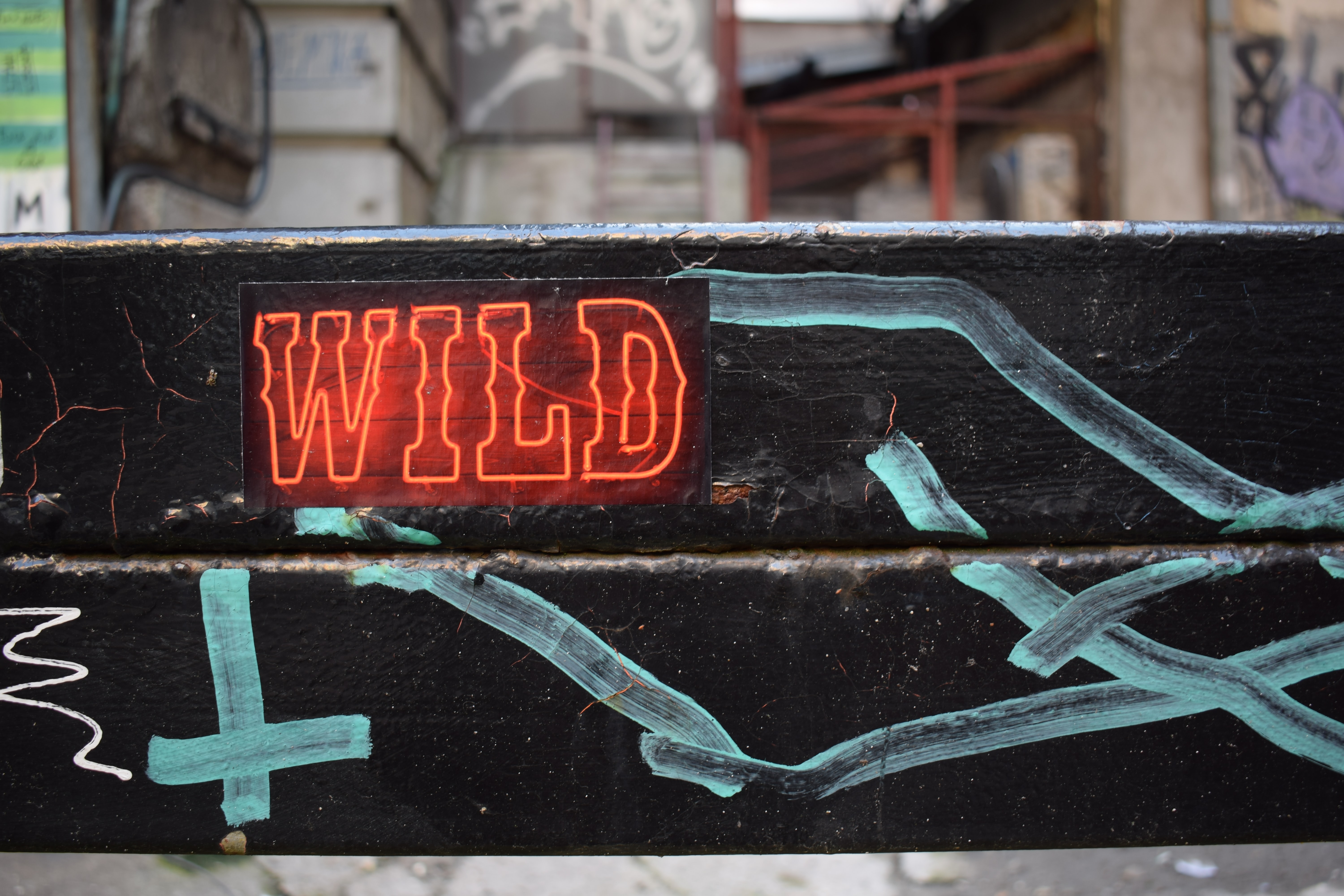 Cool Wallpapers words, neon, inscription, wild