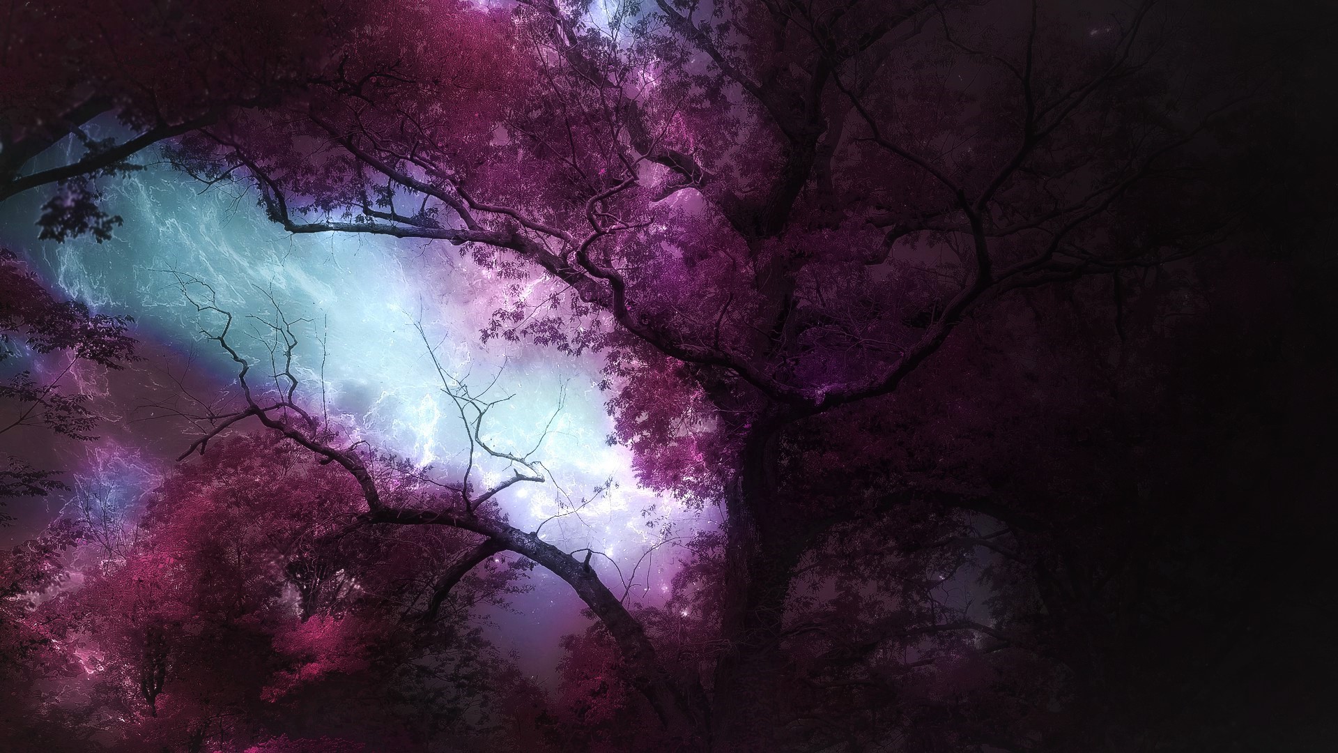 Download mobile wallpaper Fantasy, Forest, Purple for free.