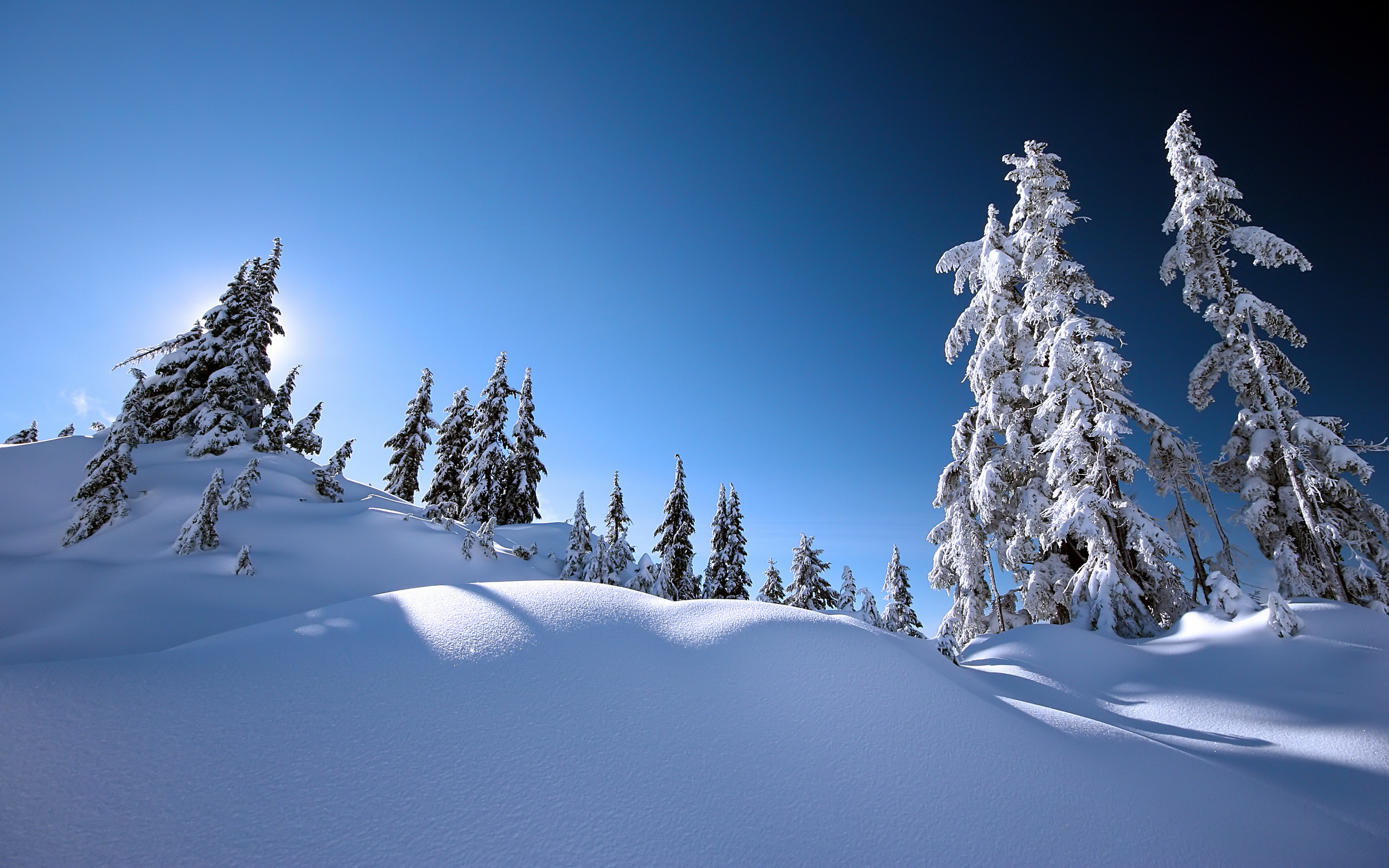 Скачать обои бесплатно Зима, Ночь, Снег, Земля/природа картинка на рабочий стол ПК