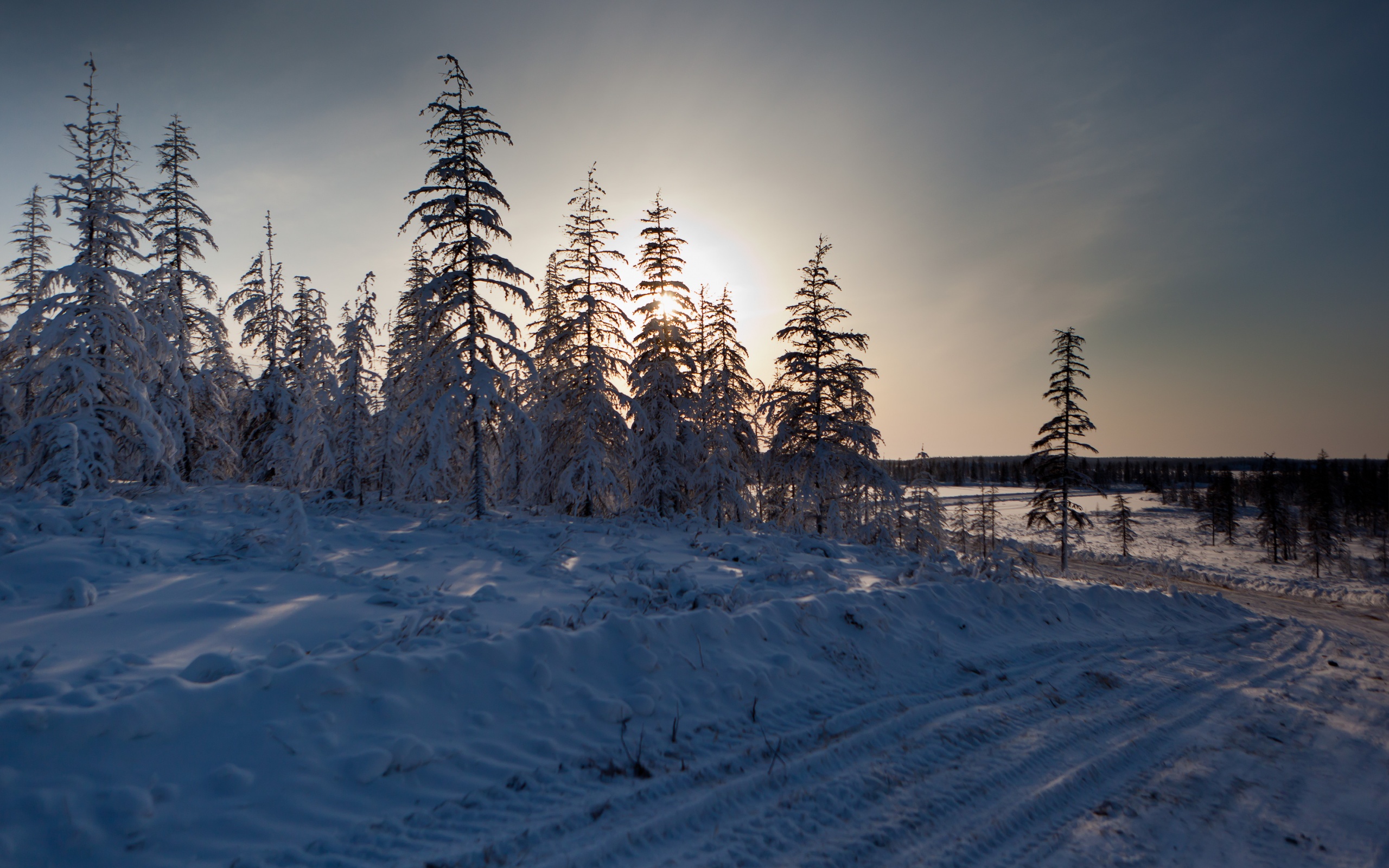 Descarga gratis la imagen Invierno, Tierra/naturaleza en el escritorio de tu PC