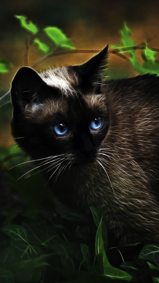 Download mobile wallpaper Cats, Dark, Cat, Animal for free.