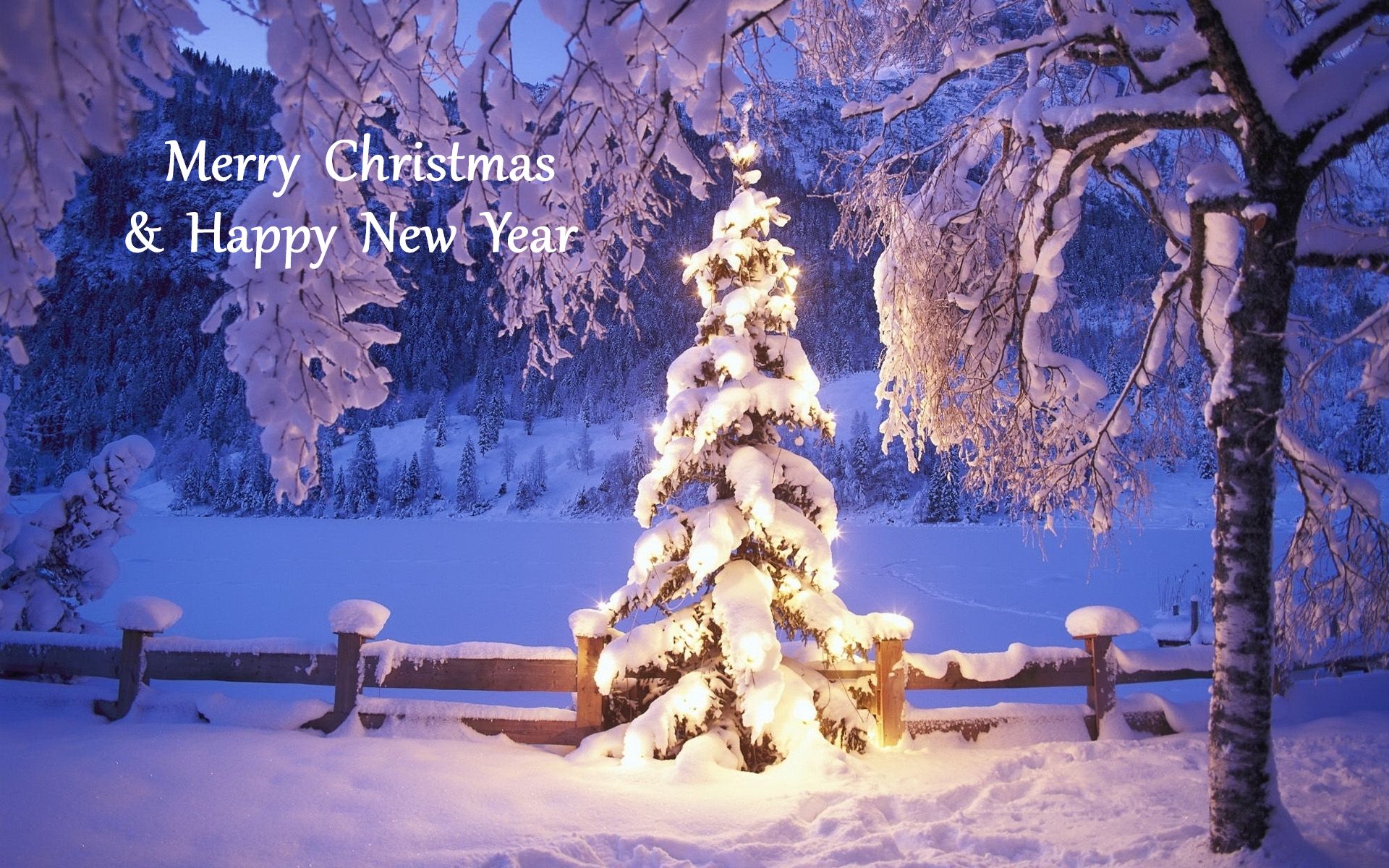 Download mobile wallpaper Winter, New Year, Snow, Tree, Christmas, Holiday, Merry Christmas, Happy New Year for free.