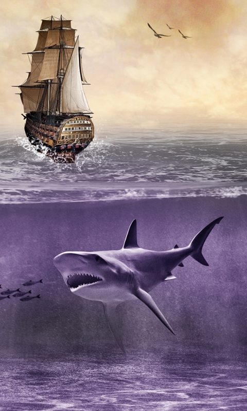 Download mobile wallpaper Sharks, Animal, Shark for free.