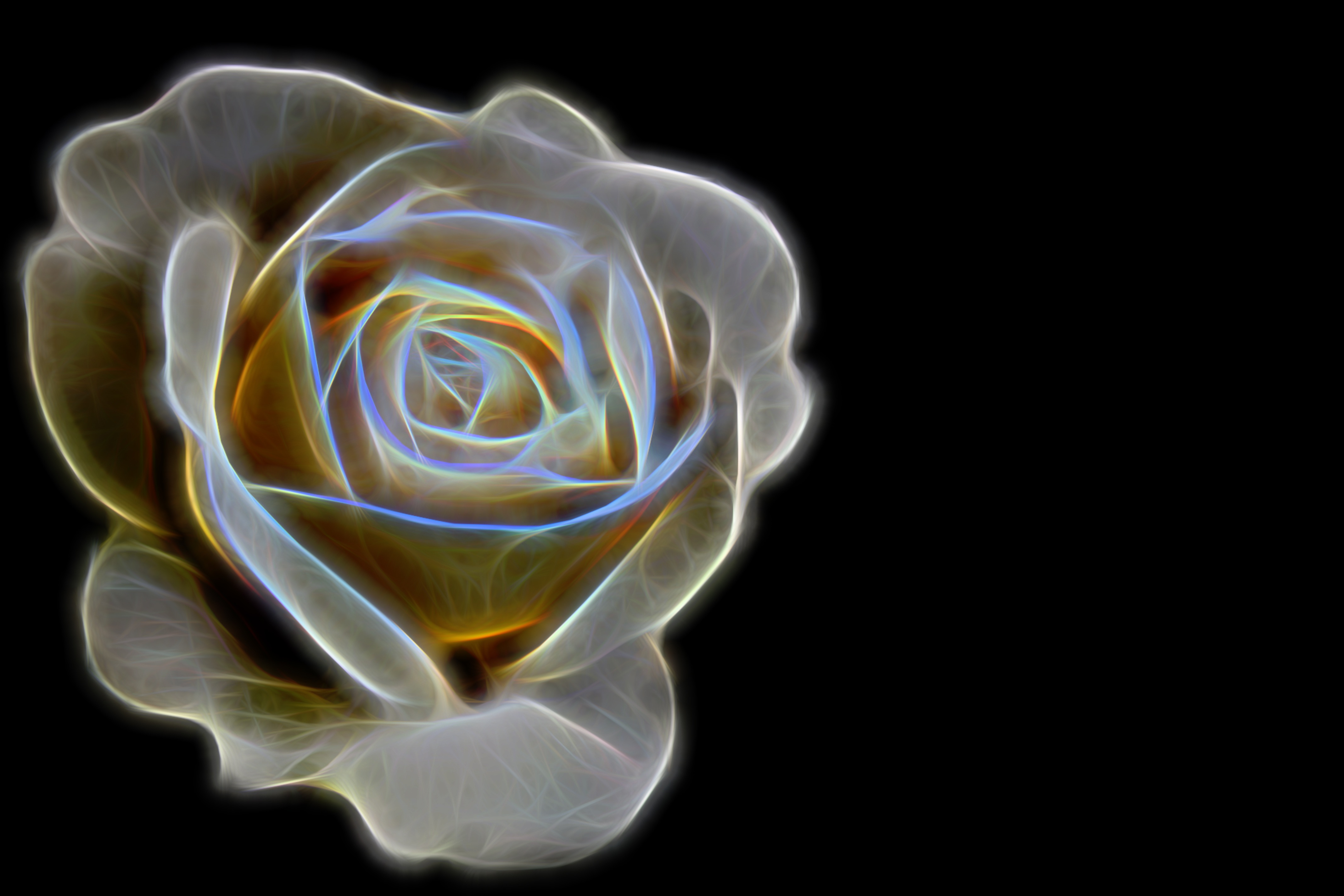 Download mobile wallpaper Flower, Rose, Artistic, Minimalist for free.