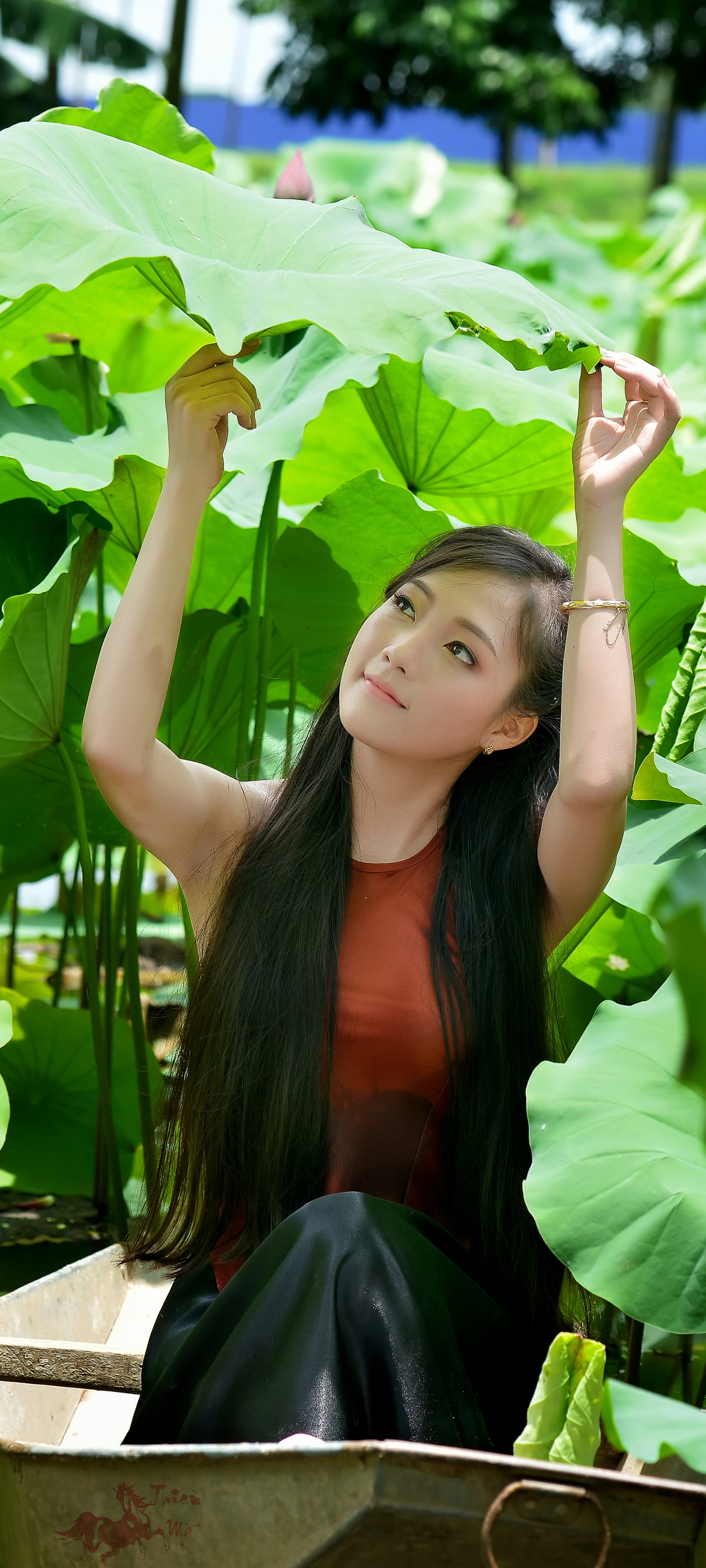 Download mobile wallpaper Lotus, Women, Asian, Vietnamese for free.