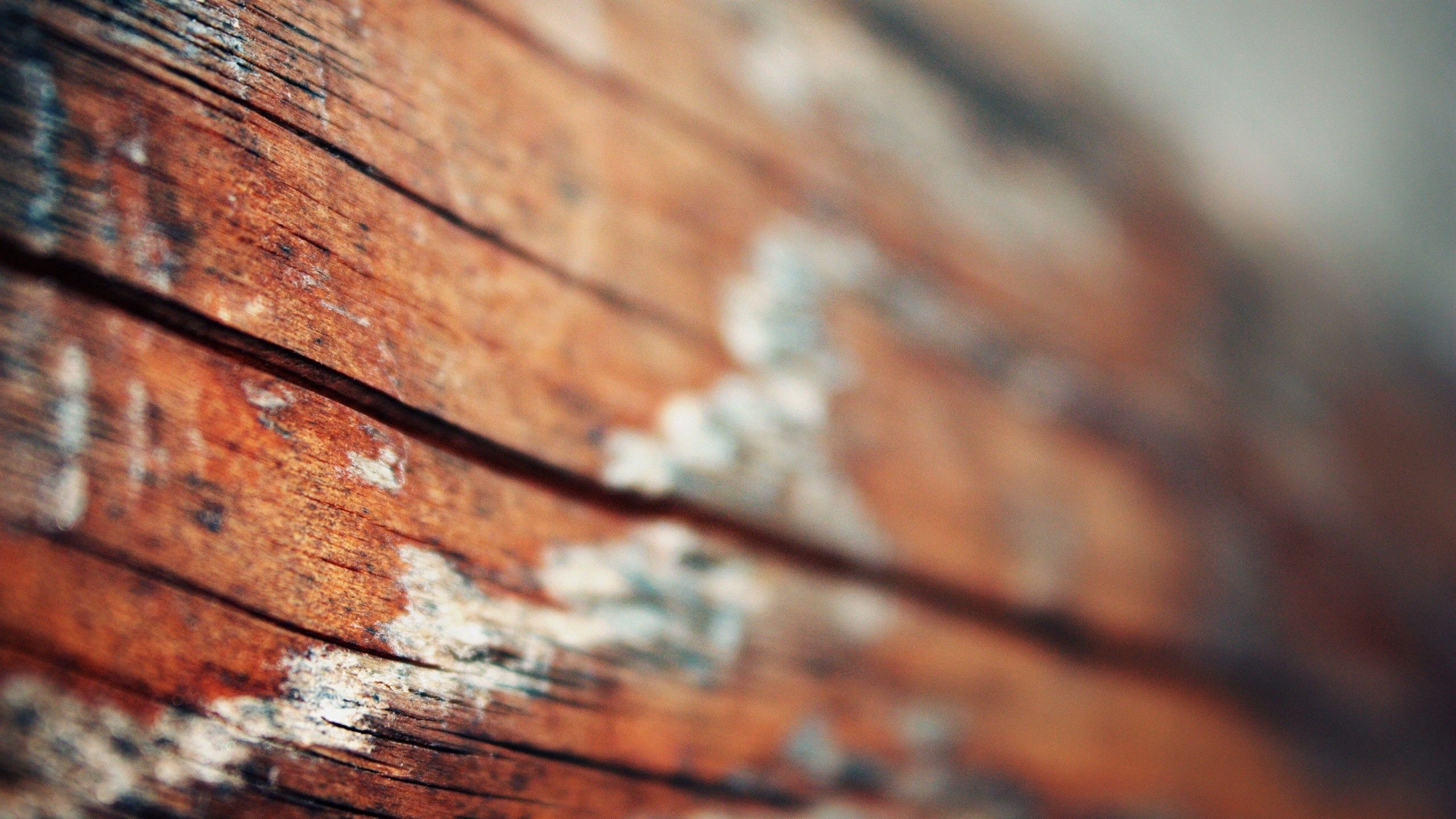 Free download wallpaper Macro, Light, Wood, Wooden, Light Coloured, Surface on your PC desktop
