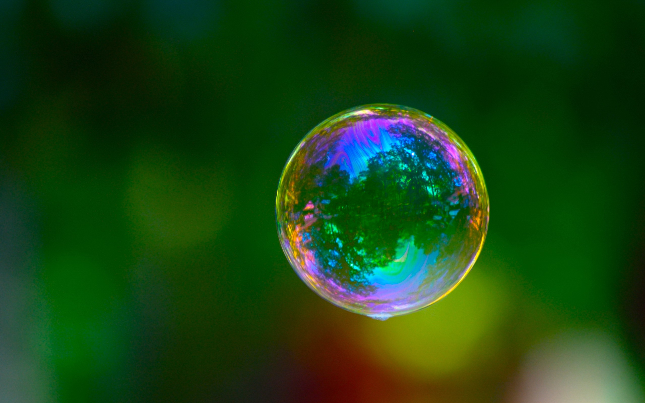 photography, bubble