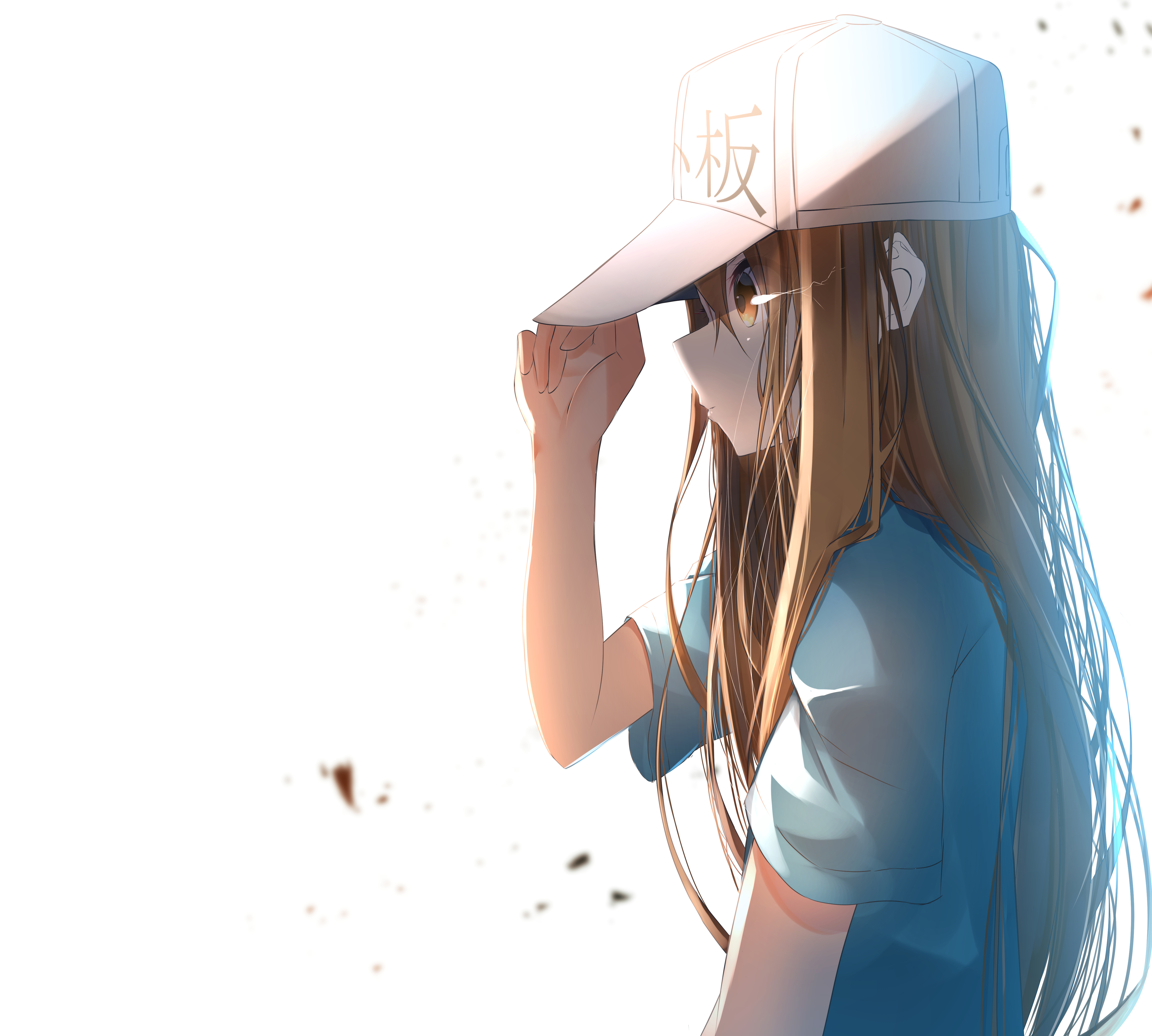 anime, cells at work!, platelet (cells at work!)