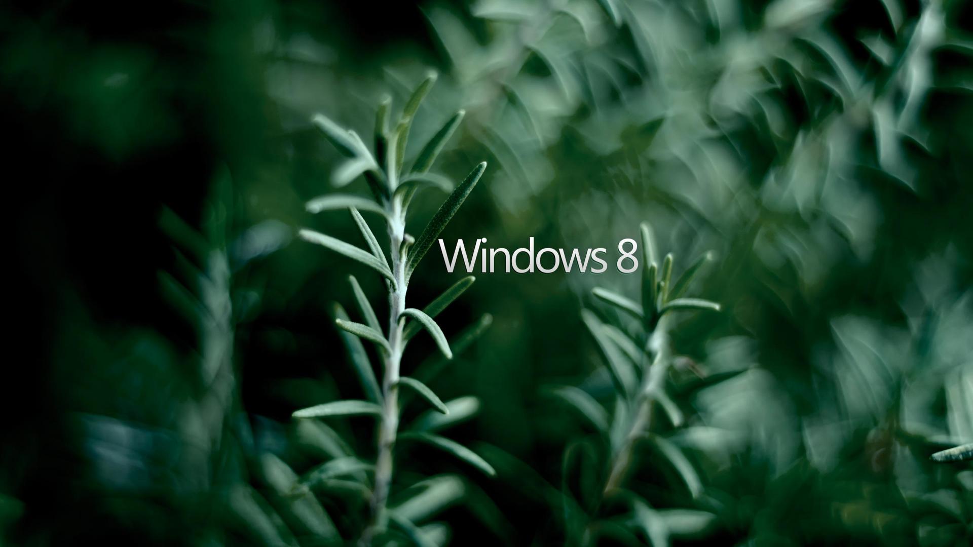 319009 Заставки і шпалери Windows 8 на телефон. Завантажити  картинки безкоштовно
