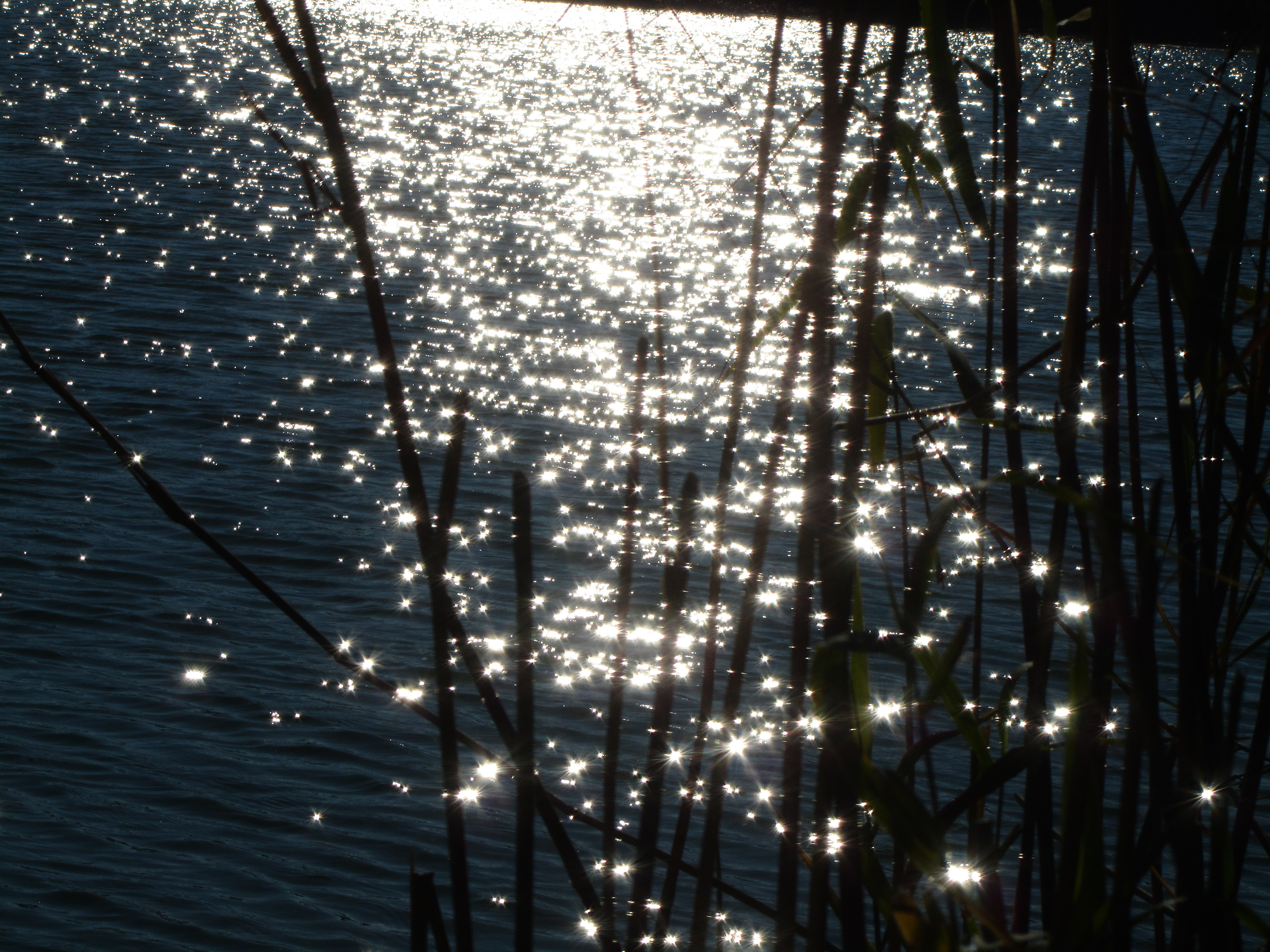 Handy-Wallpaper Wasser, Erde/natur kostenlos herunterladen.