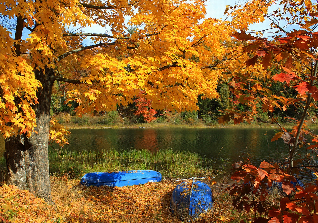 無料モバイル壁紙自然, 秋, 湖, ボート, 写真撮影をダウンロードします。