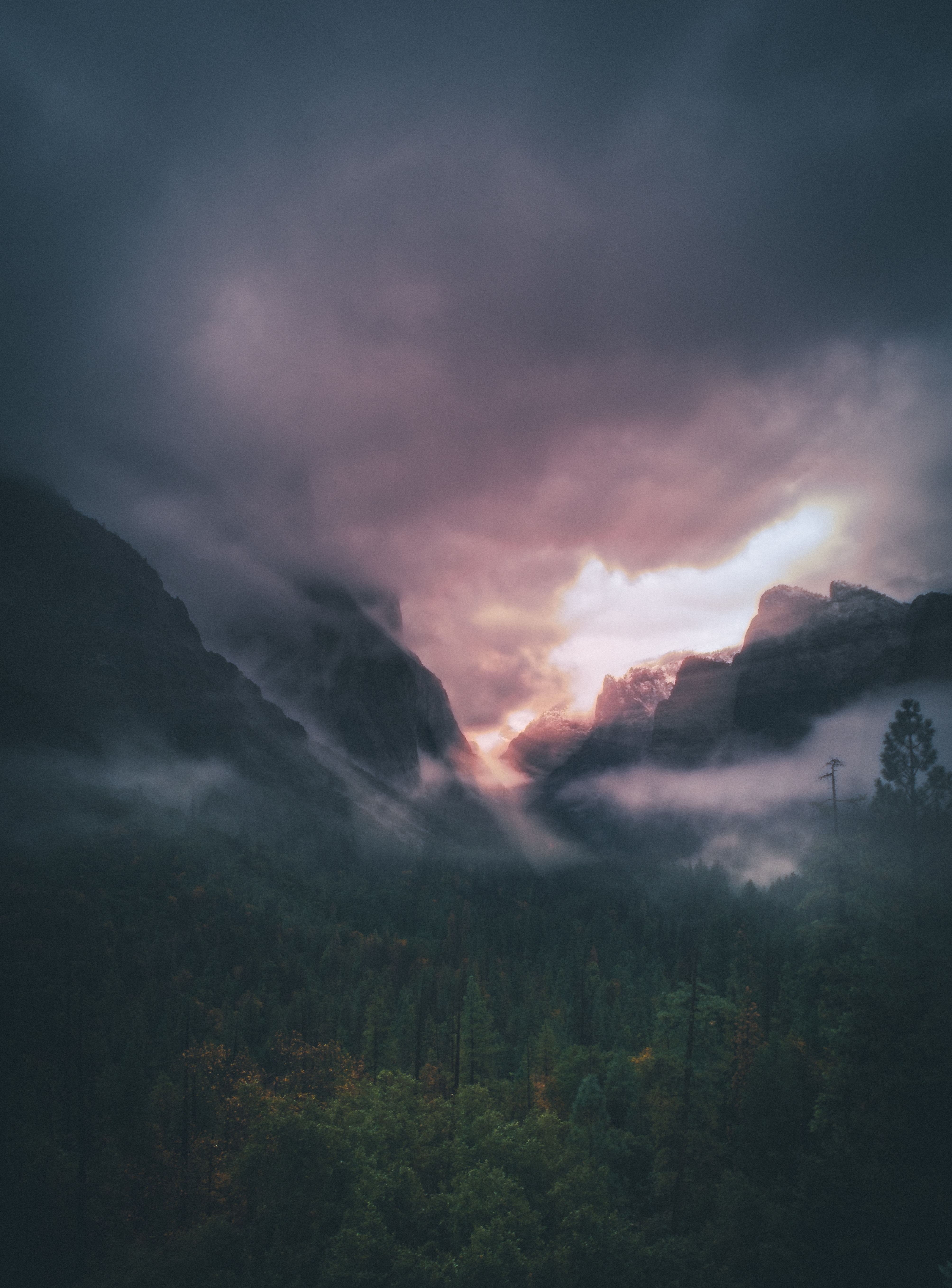 trees, view from above, nature, sky, mountains, clouds, fog