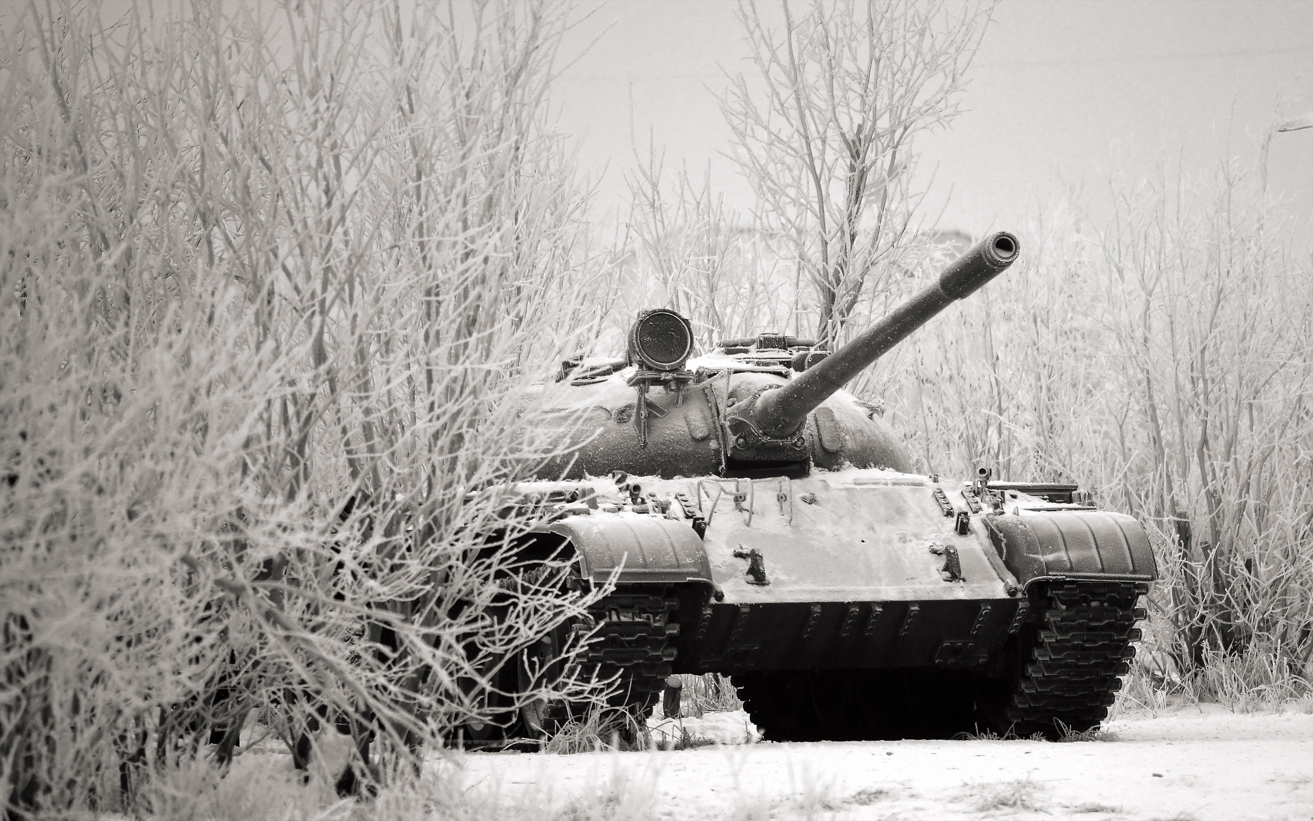 Baixe gratuitamente a imagem Tanque, Tanques, Militar na área de trabalho do seu PC