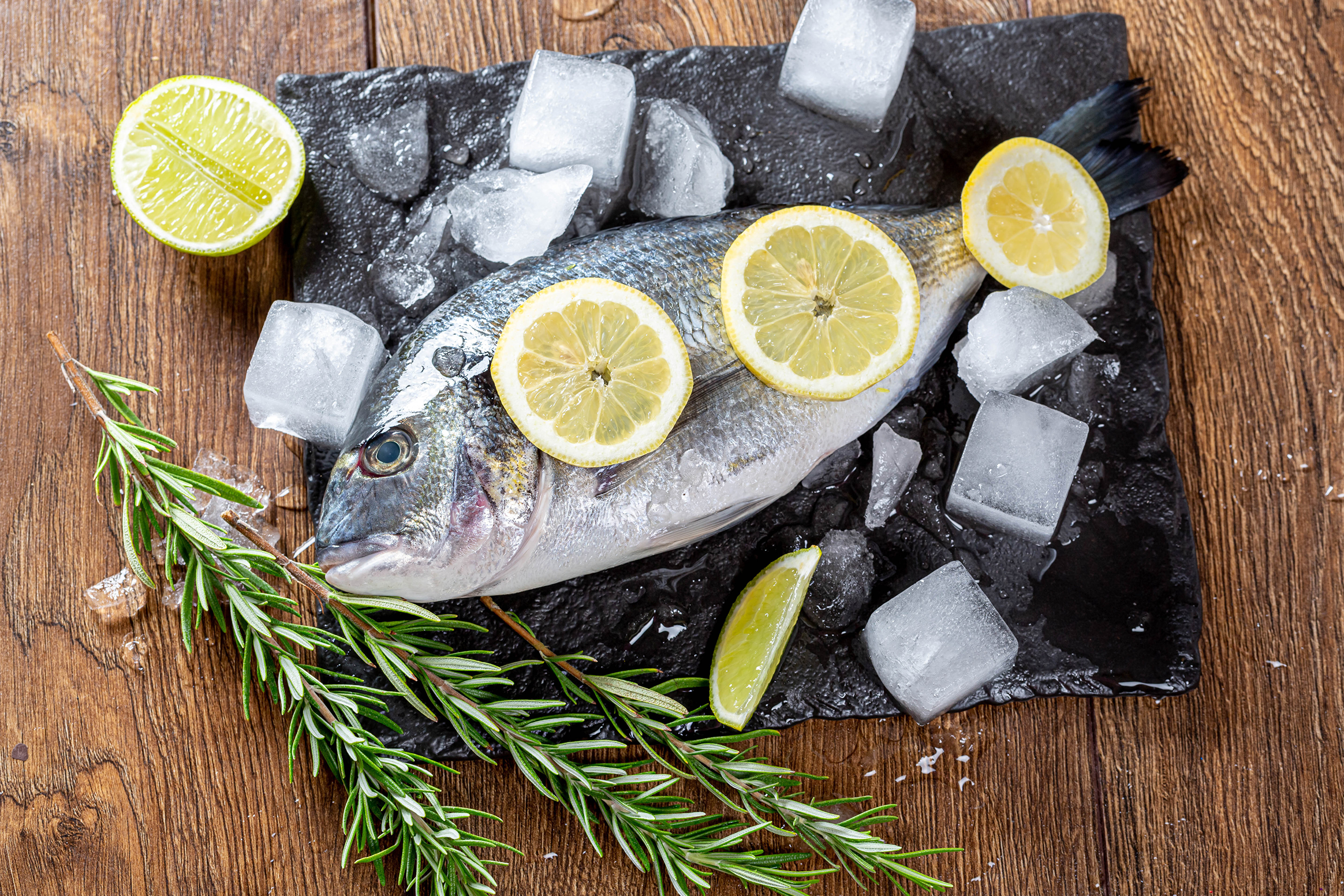 Download mobile wallpaper Food, Still Life, Lemon, Fish, Seafood, Ice Cube for free.