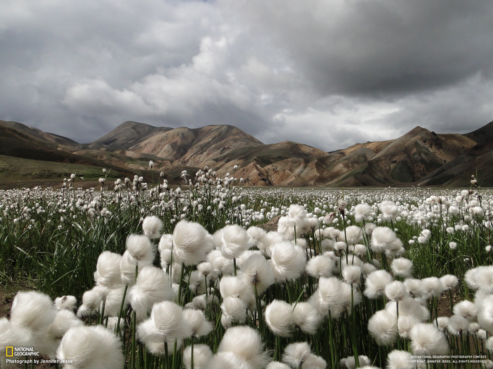 Descarga gratis la imagen Campo, Tierra/naturaleza en el escritorio de tu PC