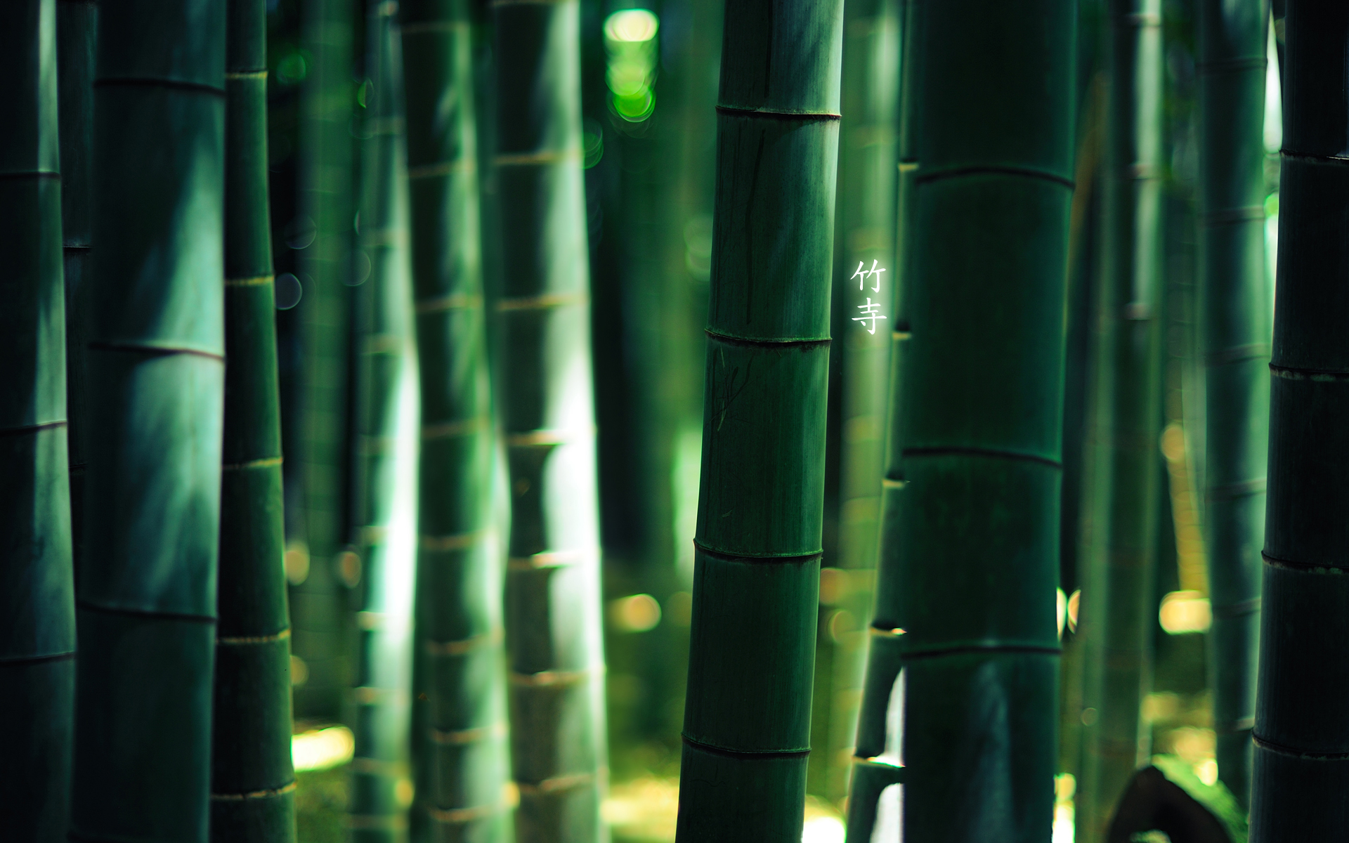 184321 descargar imagen tierra/naturaleza, bambú: fondos de pantalla y protectores de pantalla gratis