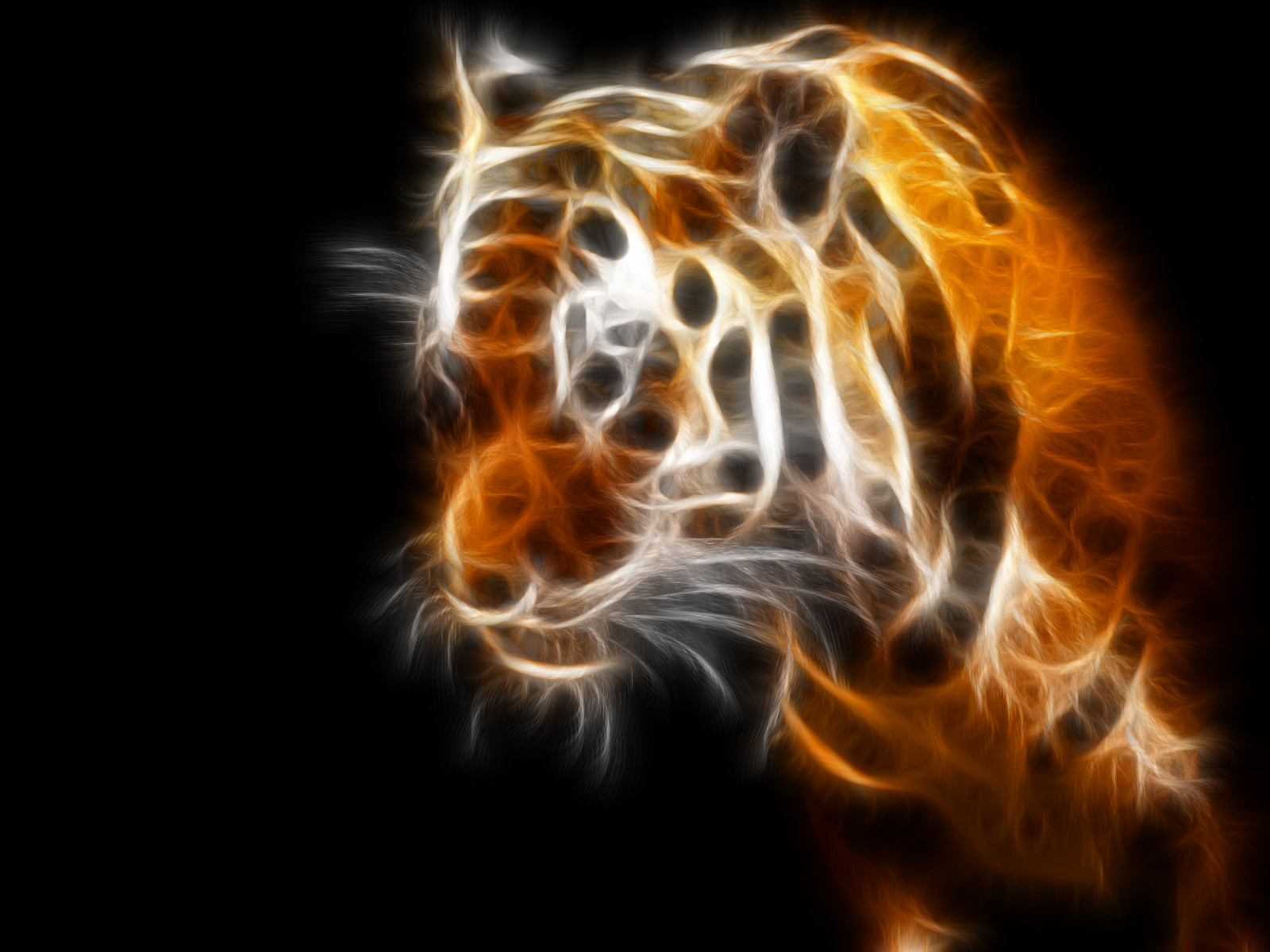 Download PC Wallpaper animal, tiger, cats