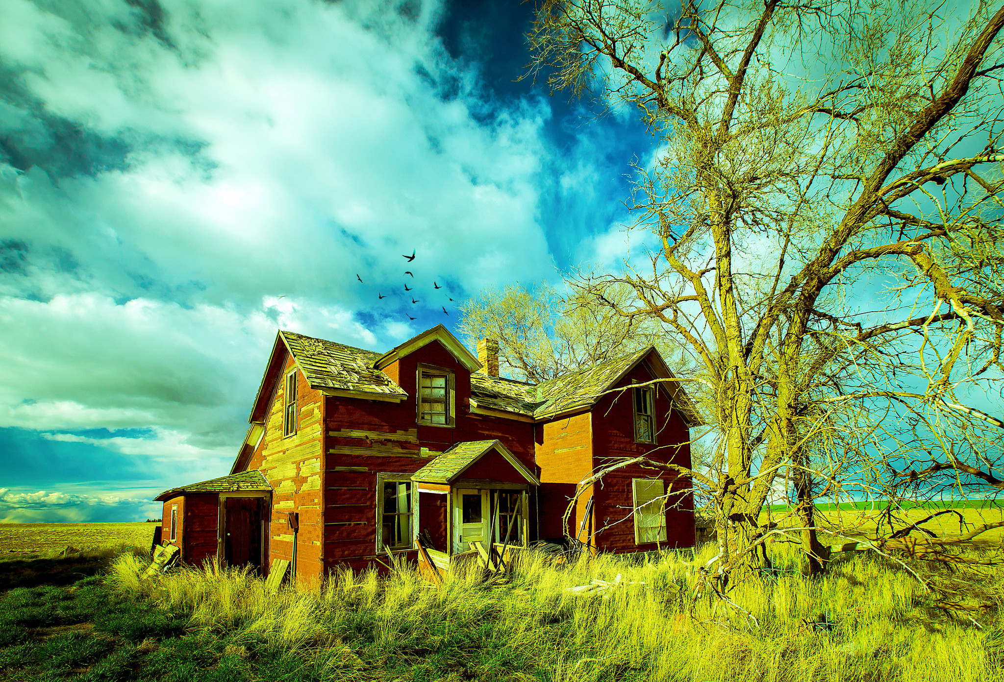 Free download wallpaper Grass, Tree, House, Cloud, Sunny, Ruin, Man Made on your PC desktop