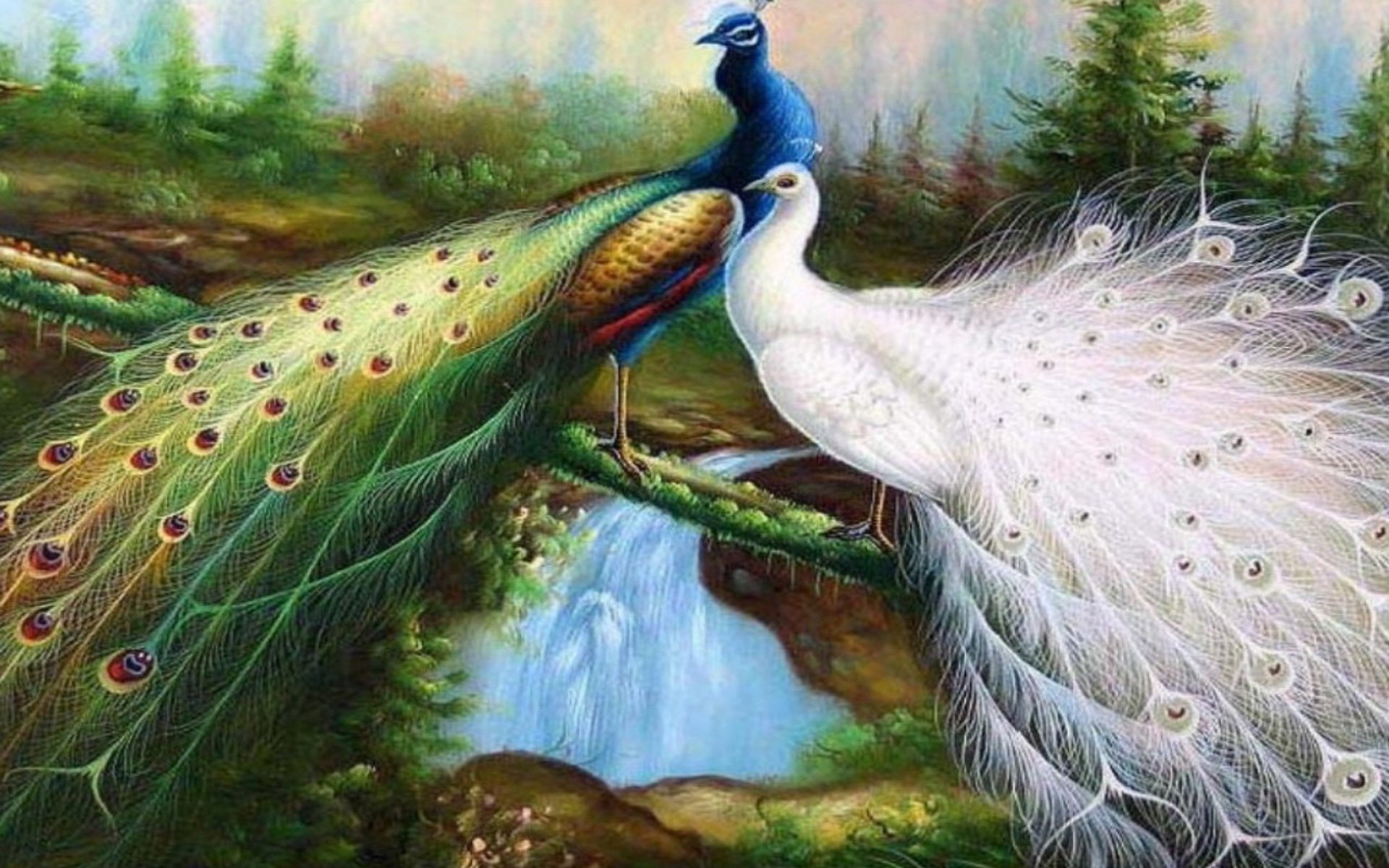 Free download wallpaper Bird, Animal, Peacock on your PC desktop