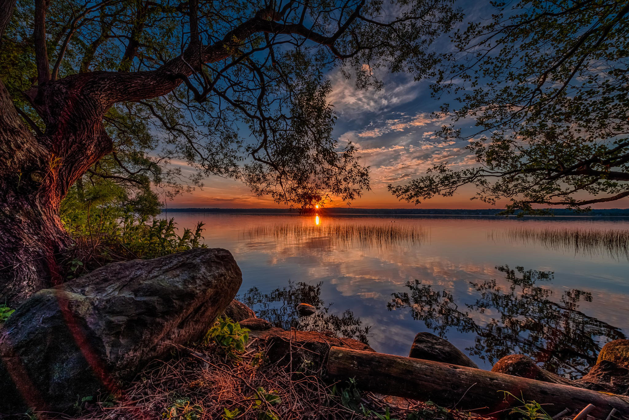 PCデスクトップに風景, 木, 日没, 湖, 地球画像を無料でダウンロード