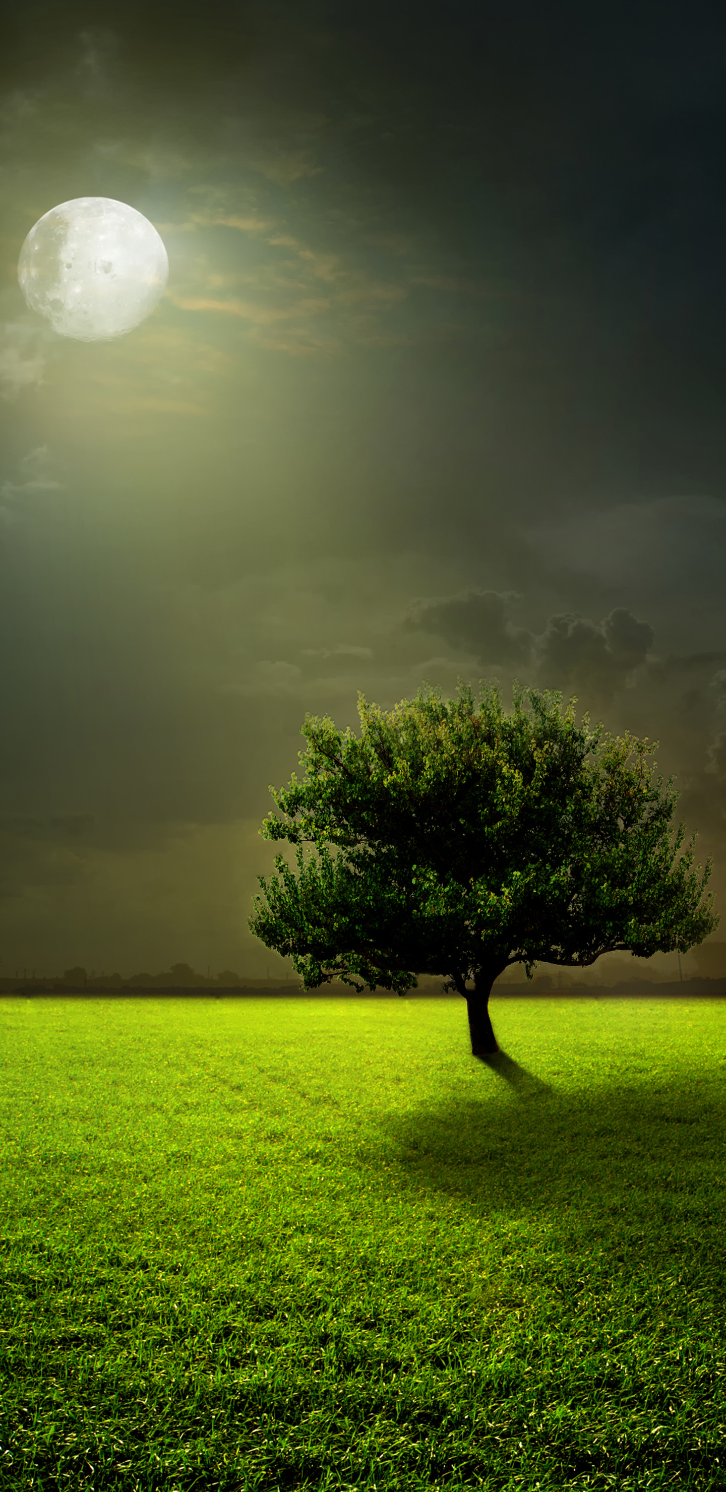 Free download wallpaper Trees, Grass, Moon, Tree, Earth, Full Moon on your PC desktop