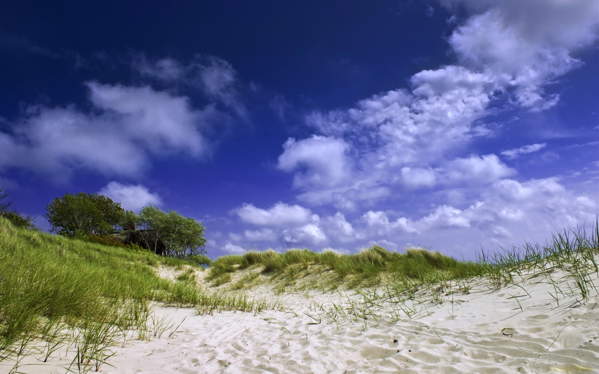 Baixar papel de parede para celular de Praia, Terra/natureza gratuito.