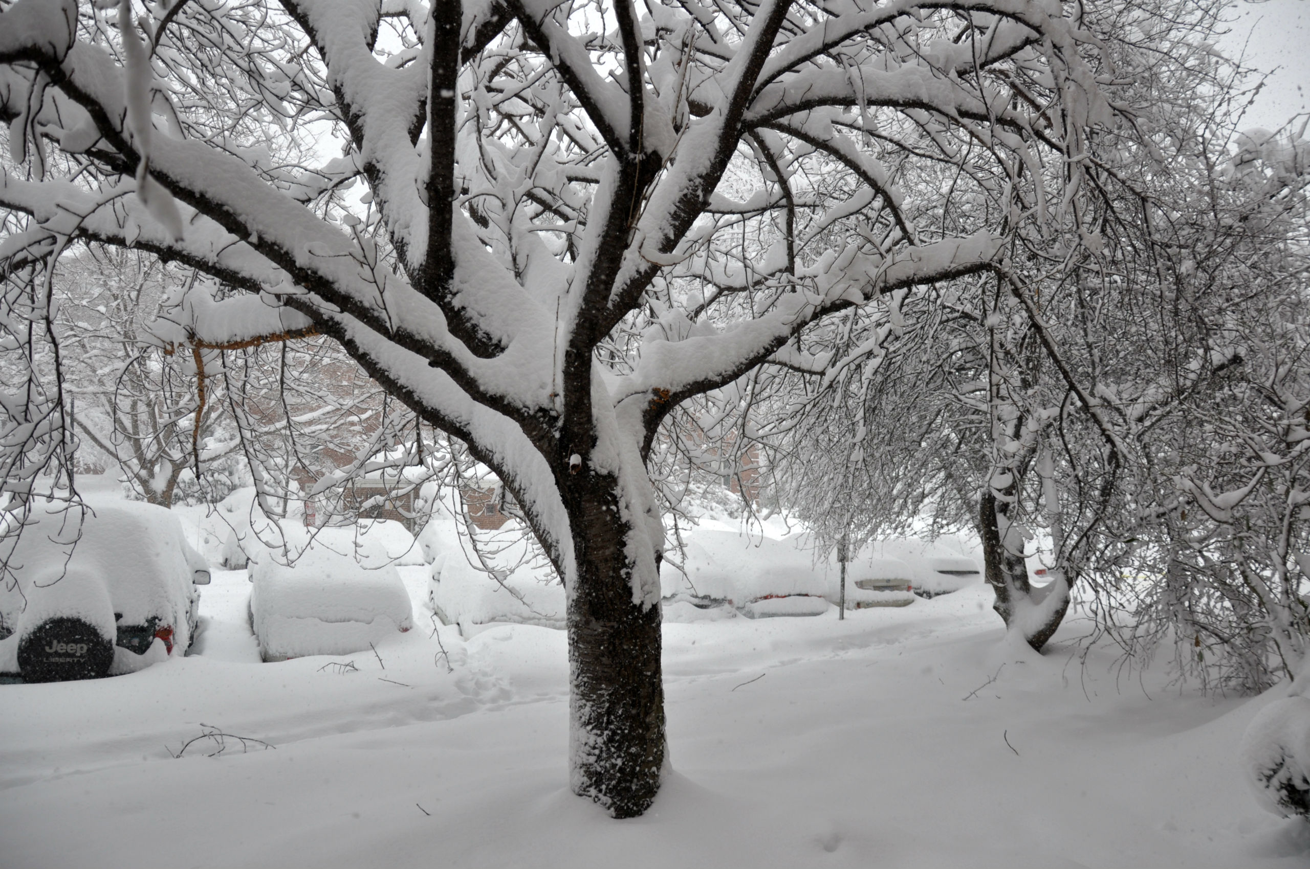 Descarga gratuita de fondo de pantalla para móvil de Invierno, Fotografía.