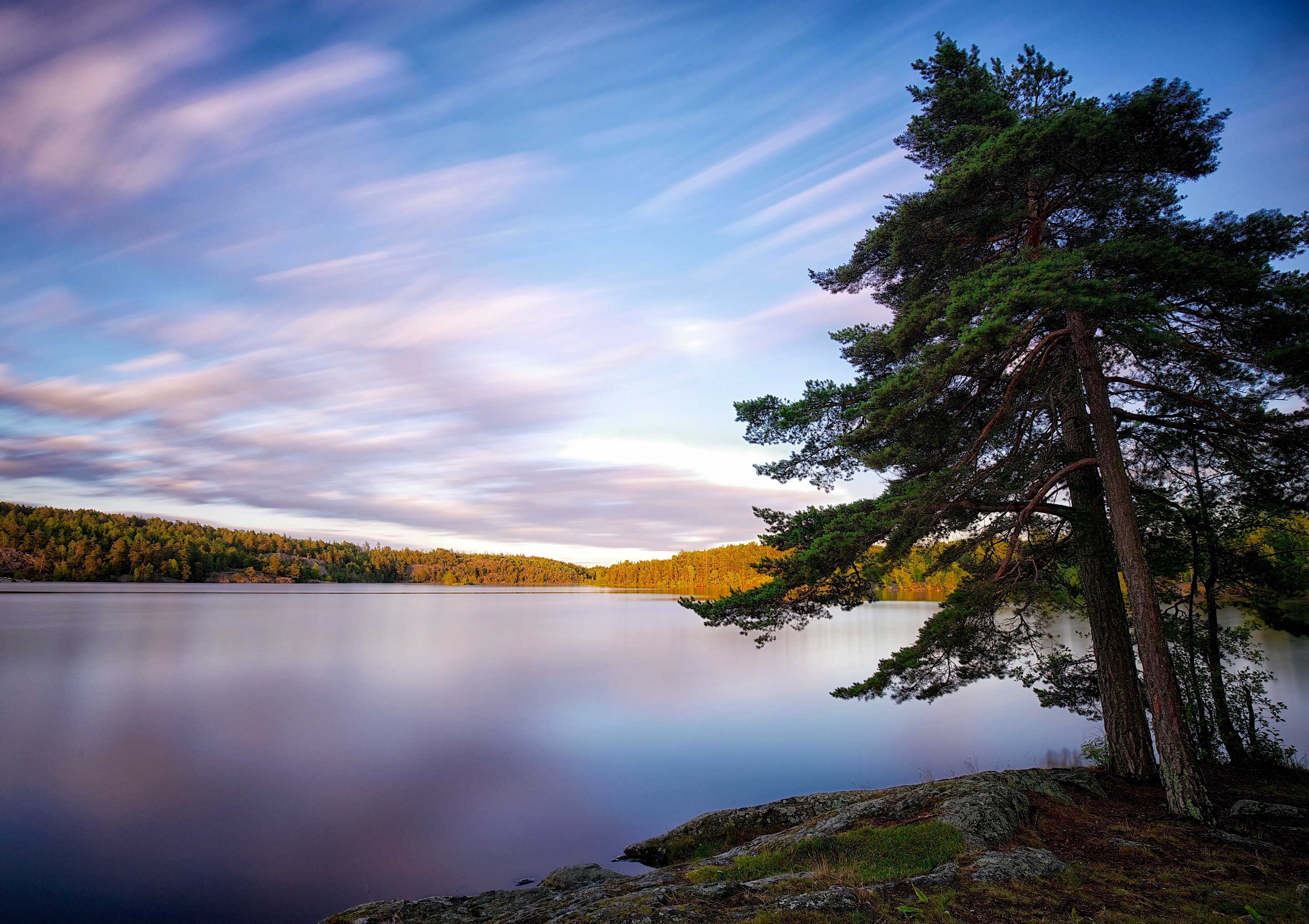 Download mobile wallpaper Sweden, Tree, Wood, Nature, Lake for free.