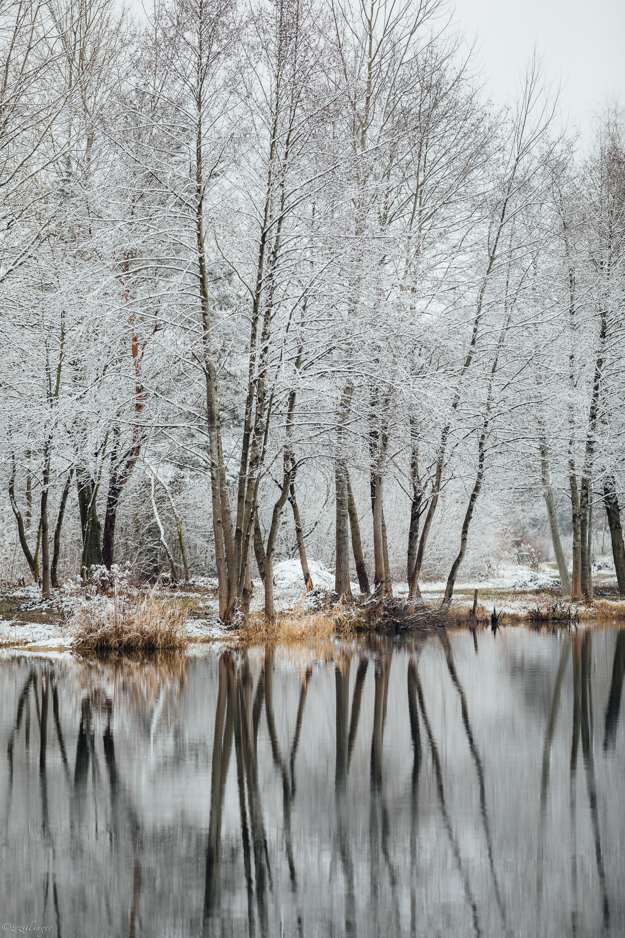 Laden Sie das Natur, Bäume, See, Reflexion, Wasser, Schnee, Winter-Bild kostenlos auf Ihren PC-Desktop herunter