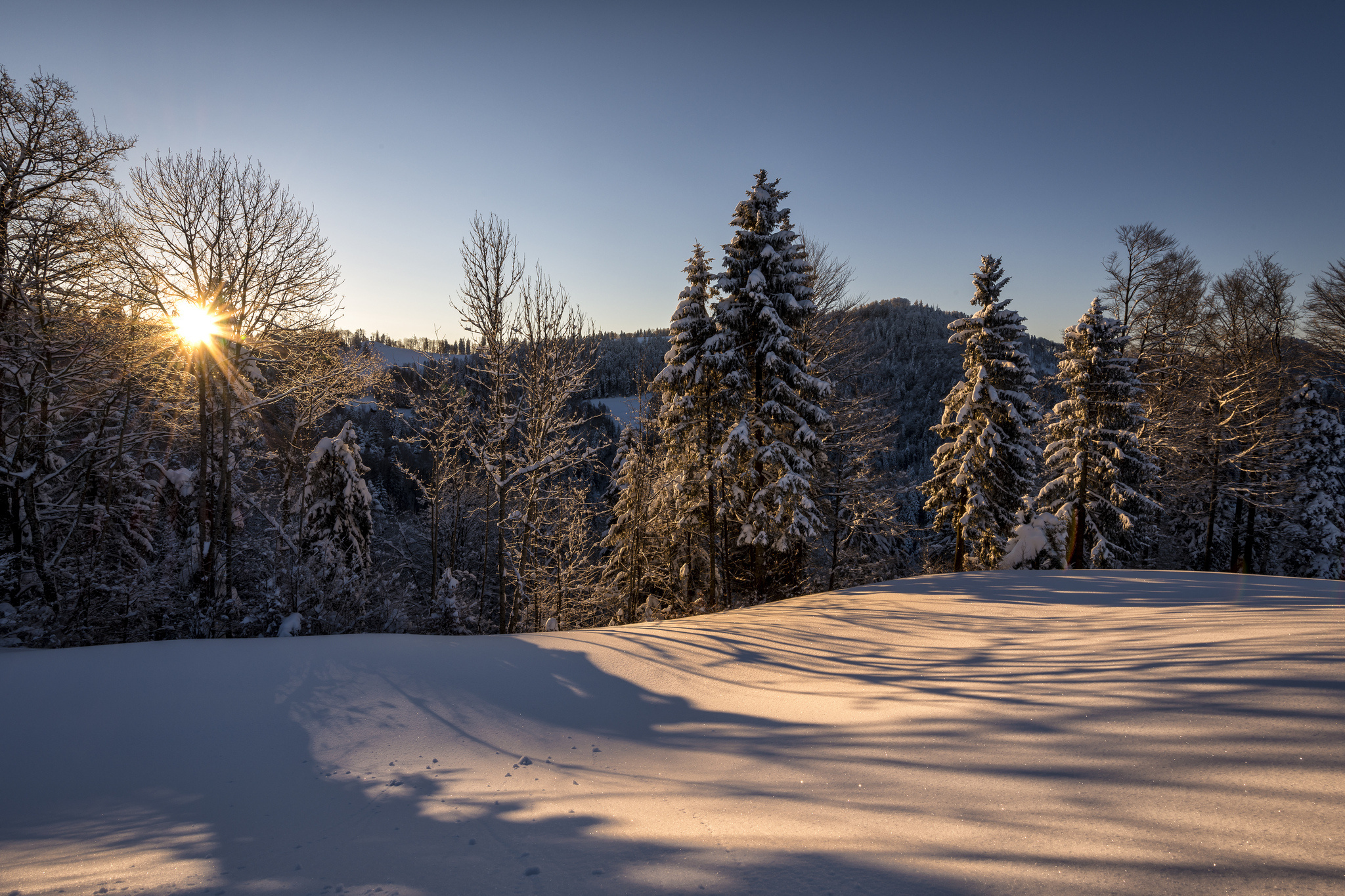 Handy-Wallpaper Winter, Erde/natur kostenlos herunterladen.