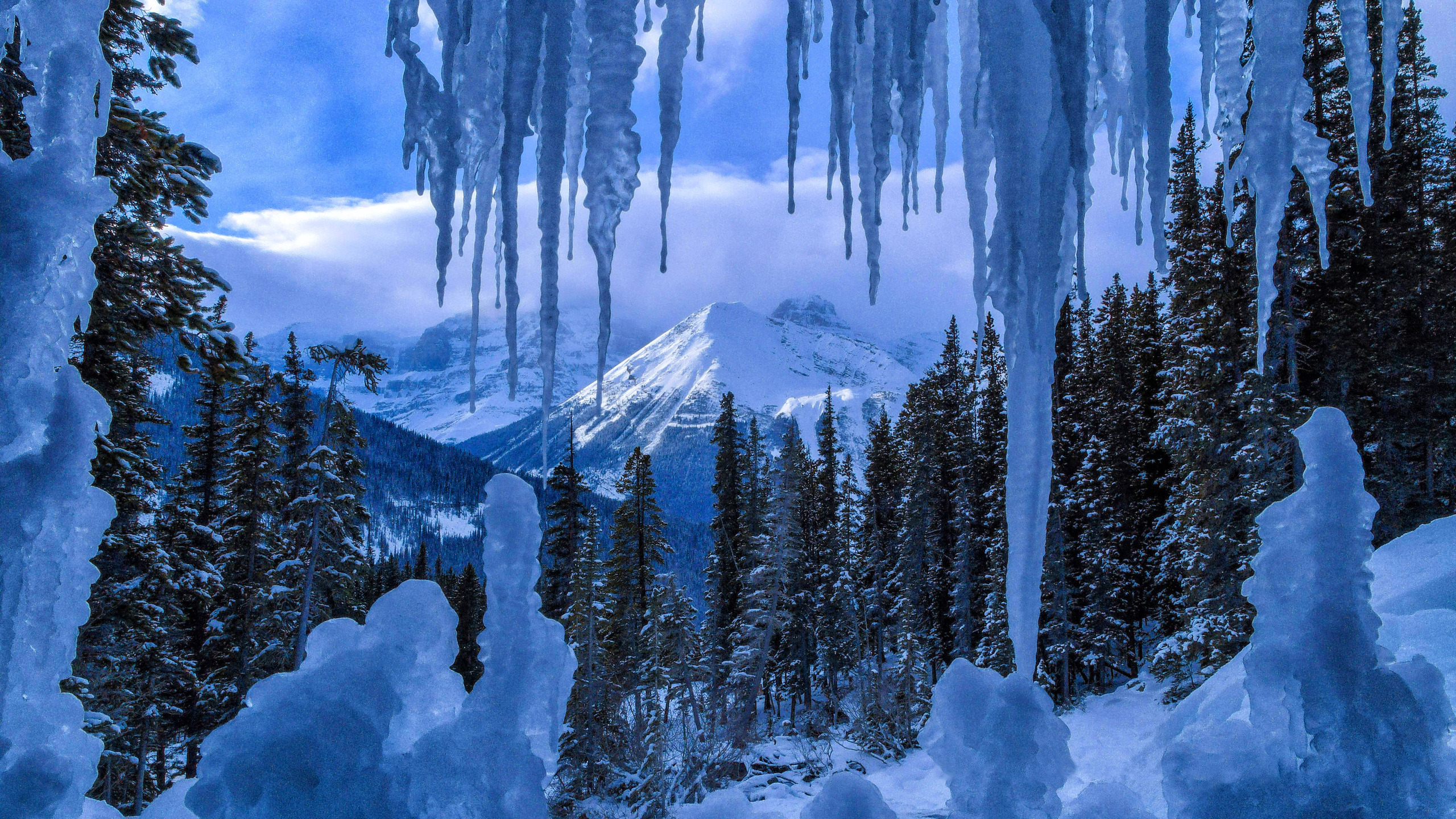 Завантажити шпалери безкоштовно Зима, Лід, Канада, Ліс, Дерево, Земля, Національний Парк Джаспер картинка на робочий стіл ПК