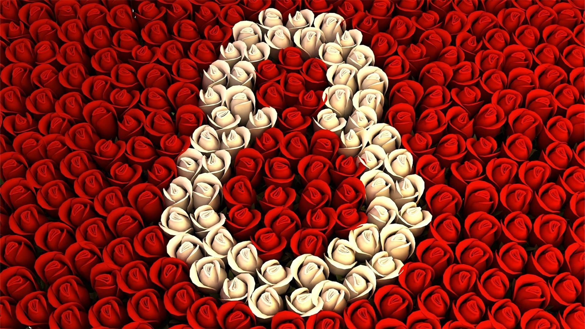 holiday, women's day, eight, flower, red, rose