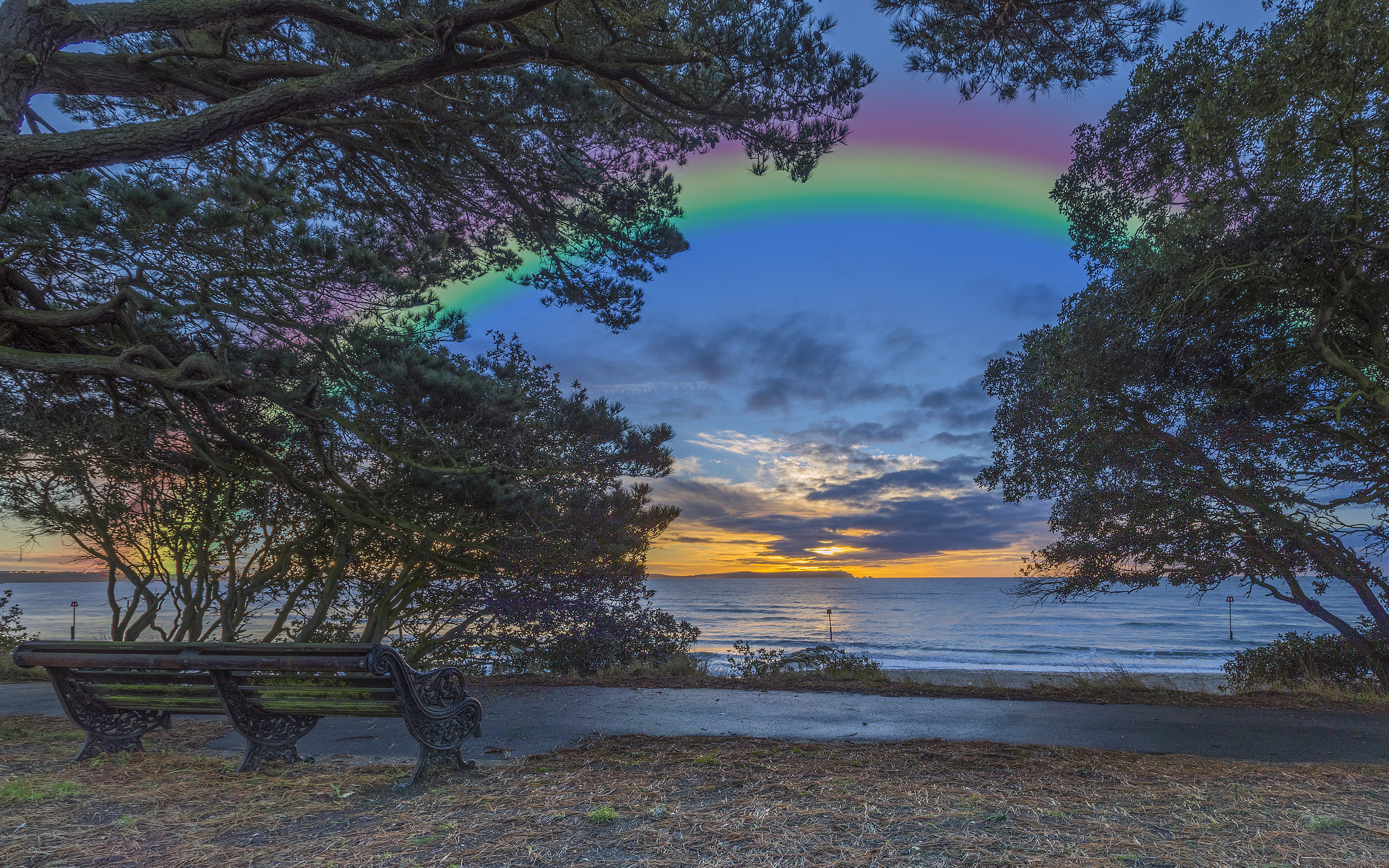 Download mobile wallpaper Rainbow, Lake, Tree, Earth, Bench, Spring for free.
