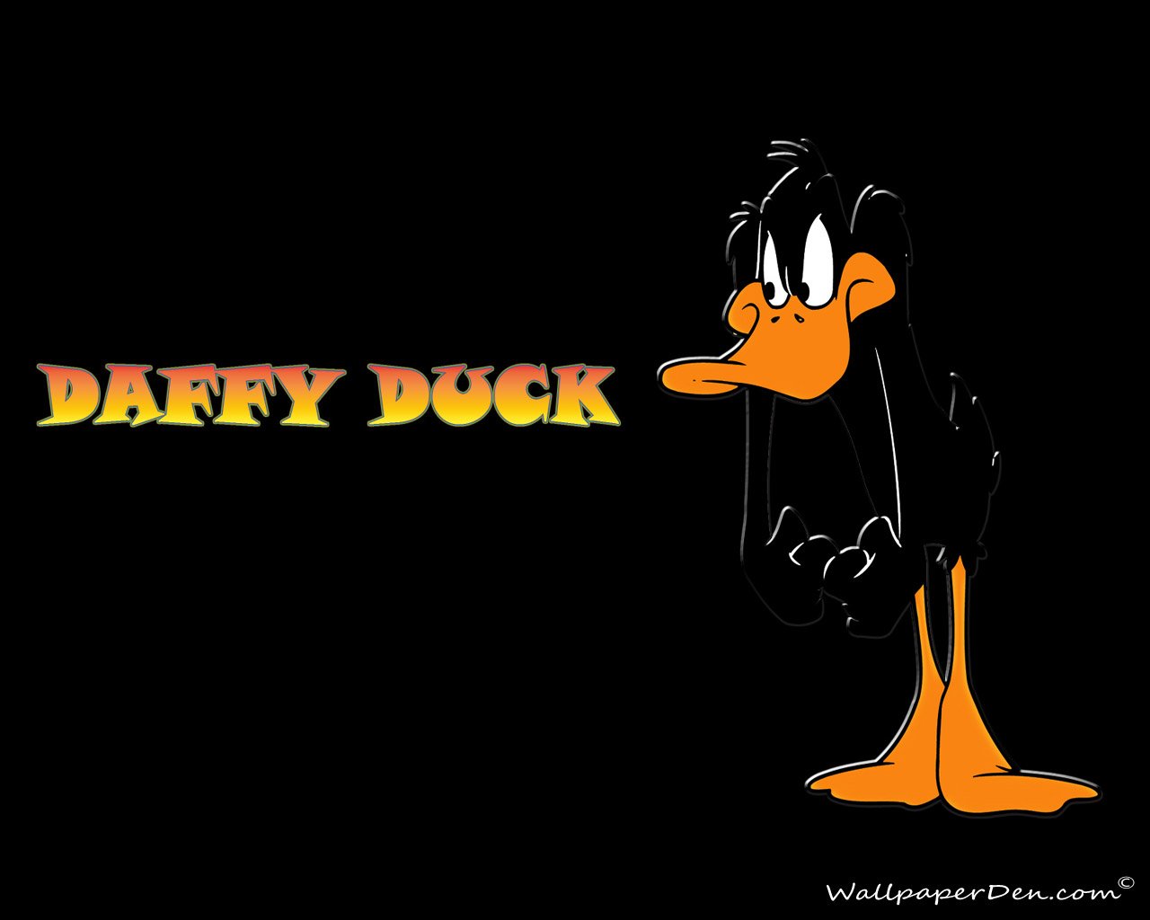 1478969 Hintergrundbild herunterladen fernsehserien, daffy duck, looney tunes - Bildschirmschoner und Bilder kostenlos
