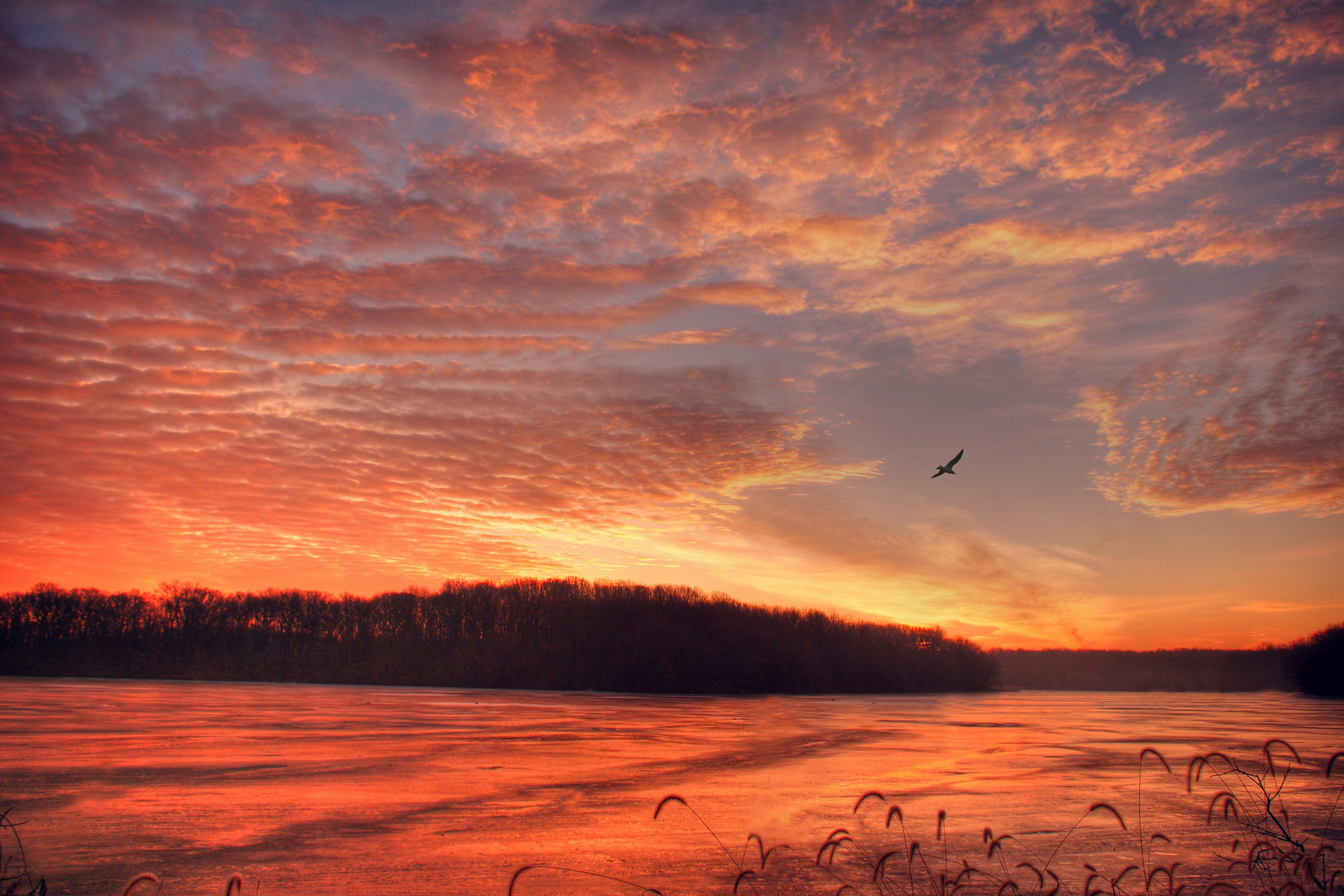 Download mobile wallpaper Nature, Sunset, Sky, Earth, Cloud, River, Orange (Color) for free.