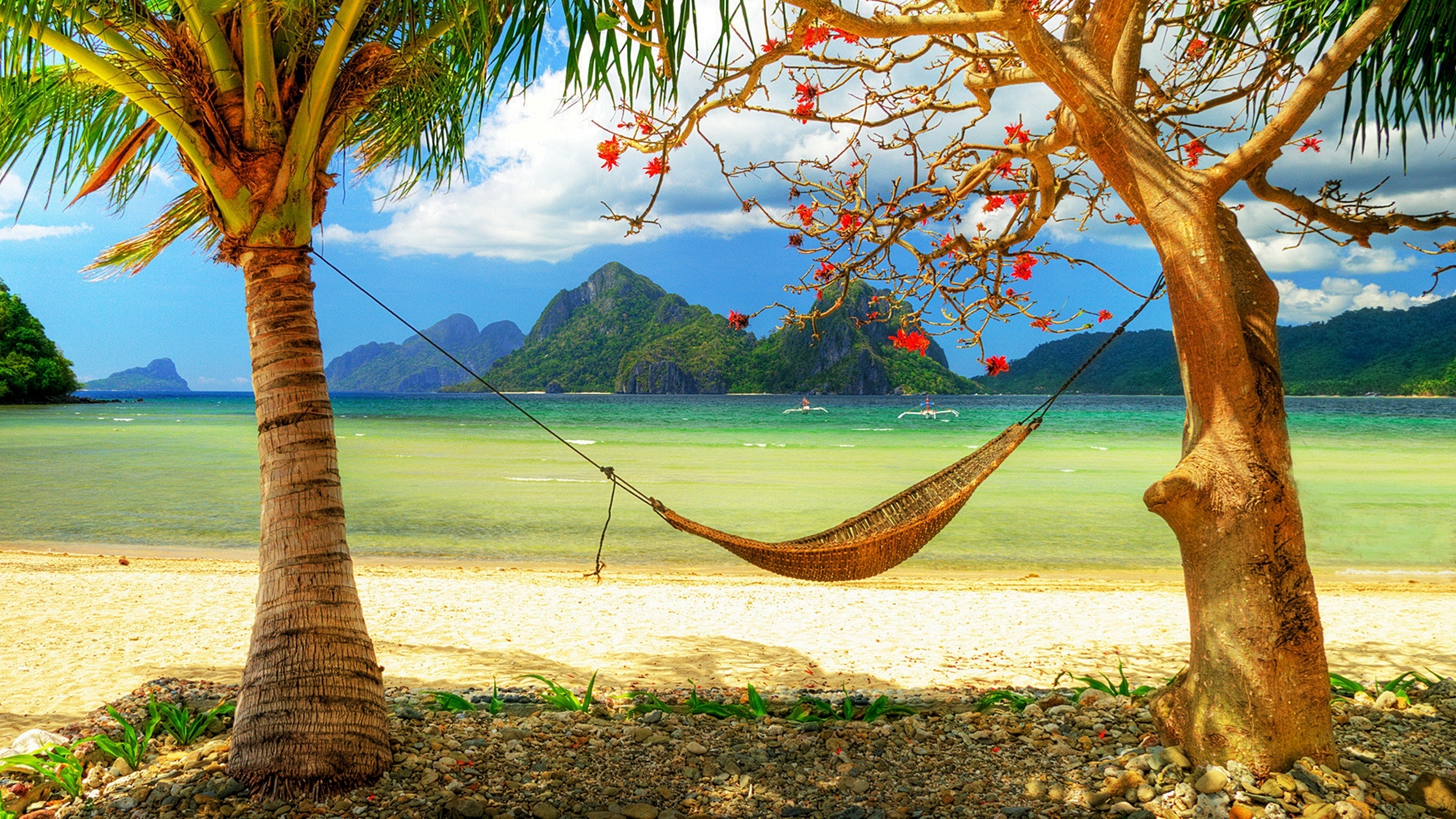 tropics, beach, photography, lagoon, palm tree