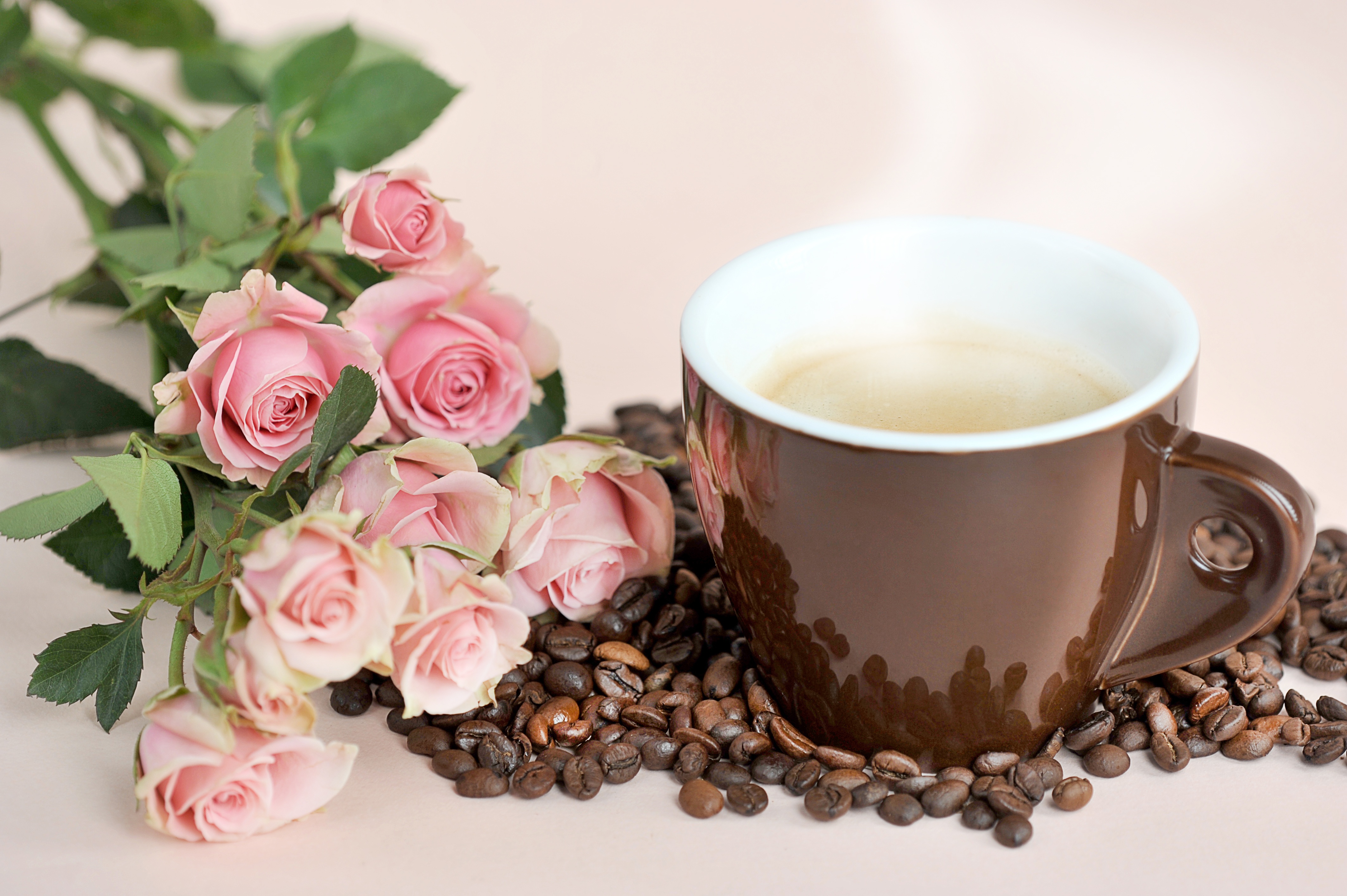 Handy-Wallpaper Rose, Tasse, Strauß, Kaffeebohnen, Nahrungsmittel, Pinke Blume, Stillleben, Kaffee kostenlos herunterladen.