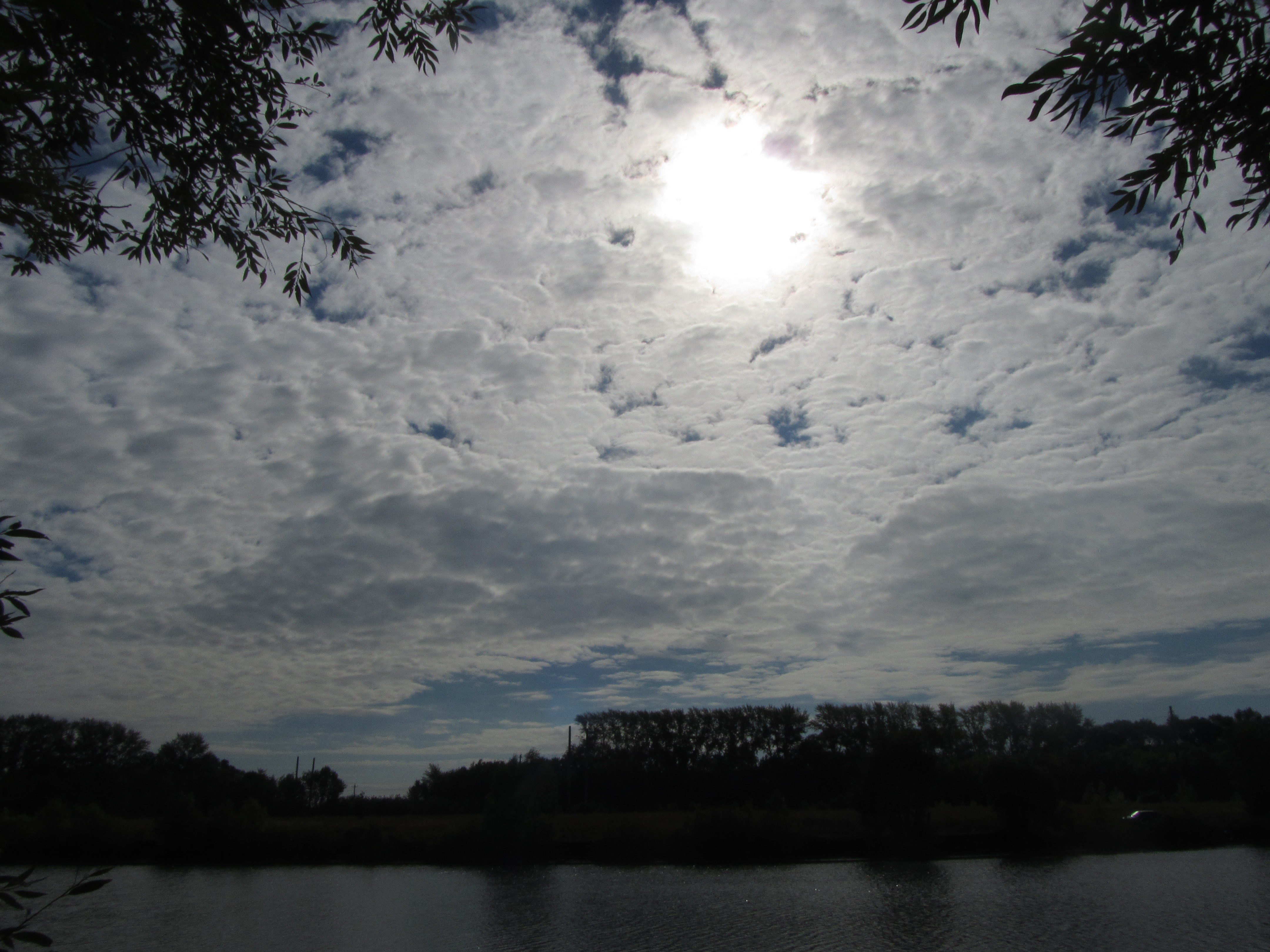 Descarga gratis la imagen Nube, Tierra/naturaleza en el escritorio de tu PC