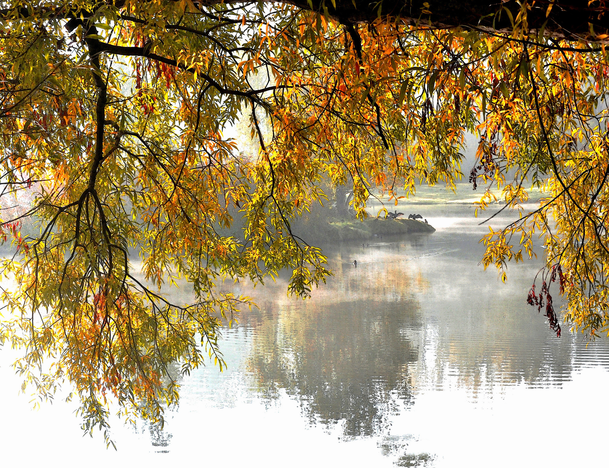Laden Sie das Herbst, See, Blatt, Ast, Erde/natur-Bild kostenlos auf Ihren PC-Desktop herunter