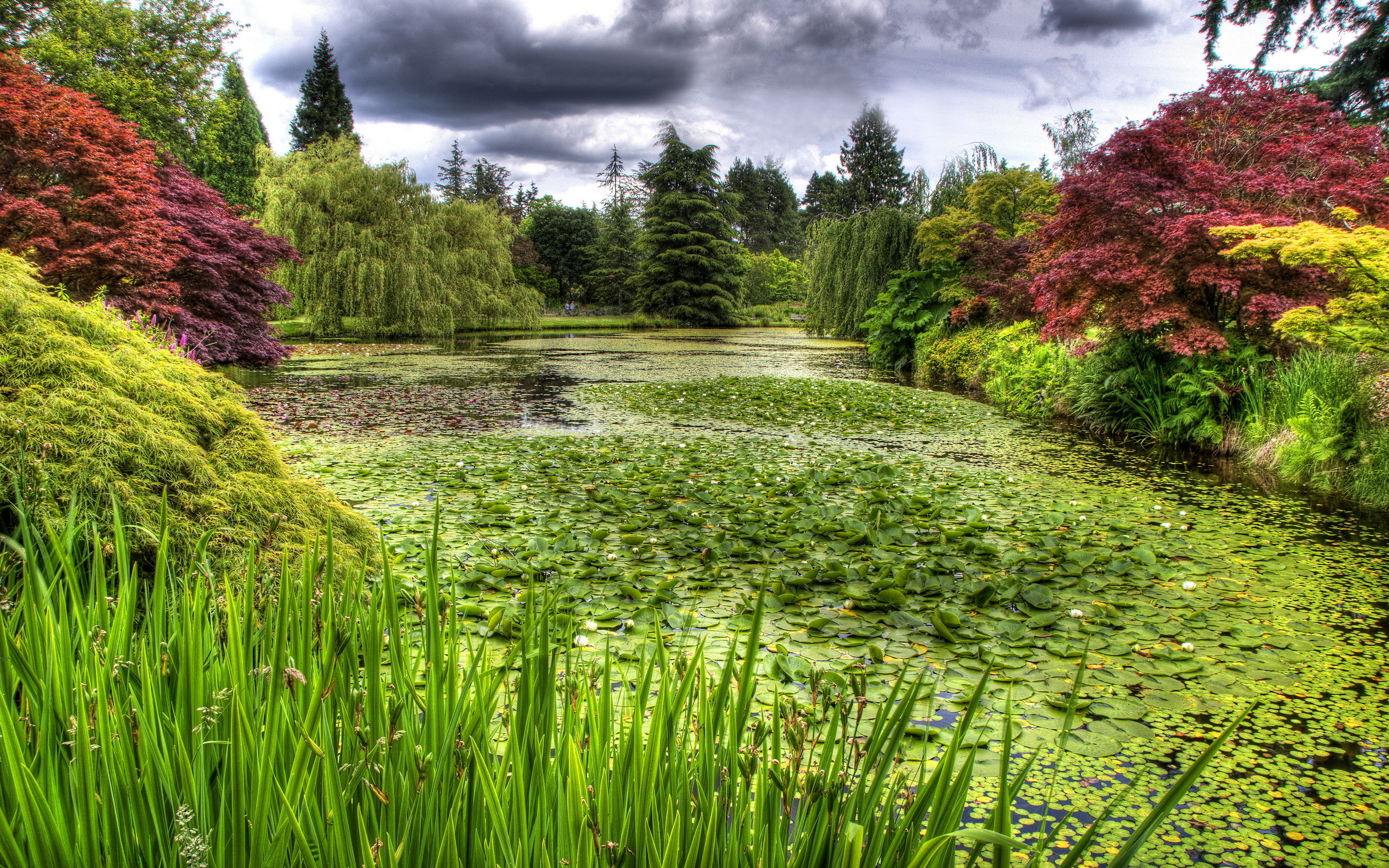 Laden Sie das Park, Fotografie-Bild kostenlos auf Ihren PC-Desktop herunter